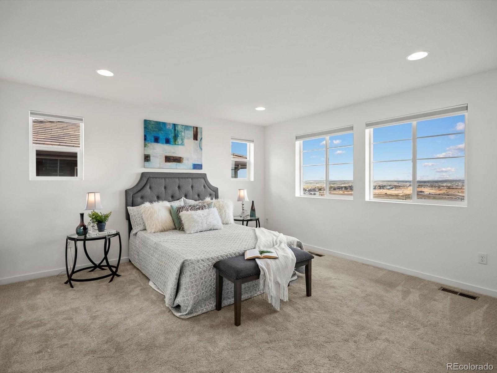 MLS Image #31 for 14710  domino drive,parker, Colorado
