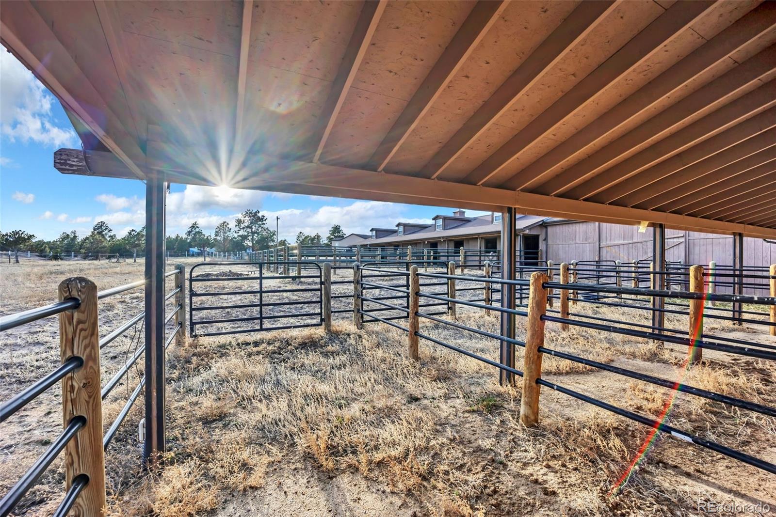 MLS Image #27 for 14650  eastonville road,elbert, Colorado