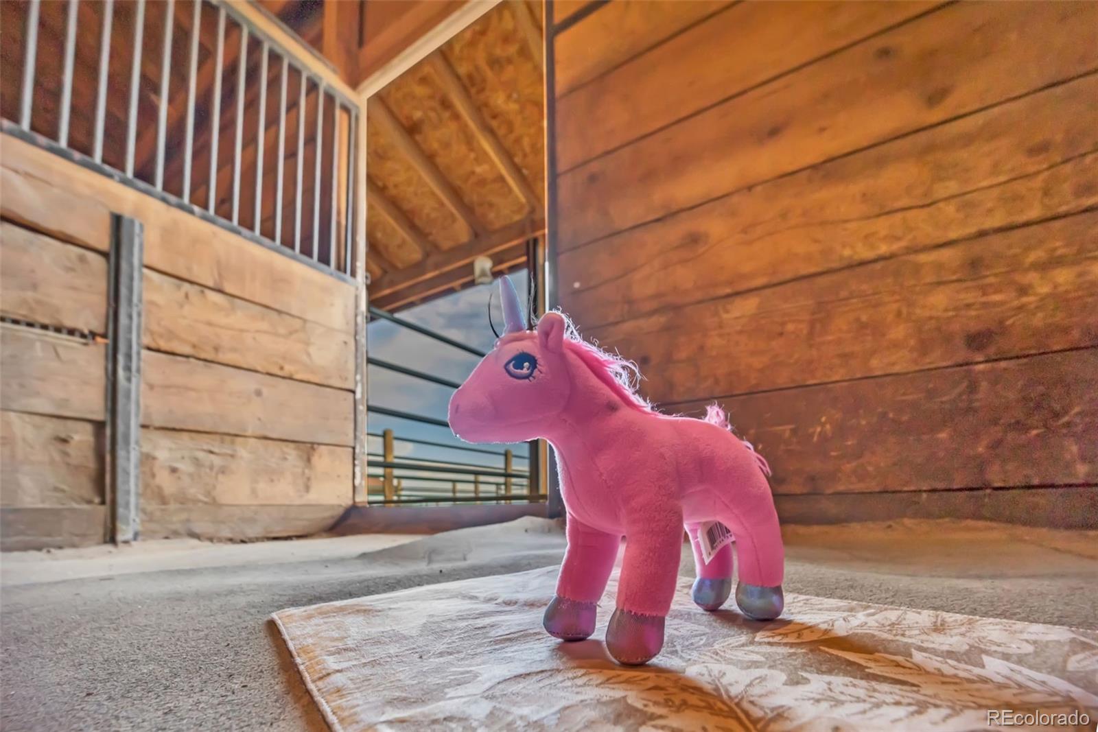 MLS Image #29 for 14650  eastonville road,elbert, Colorado