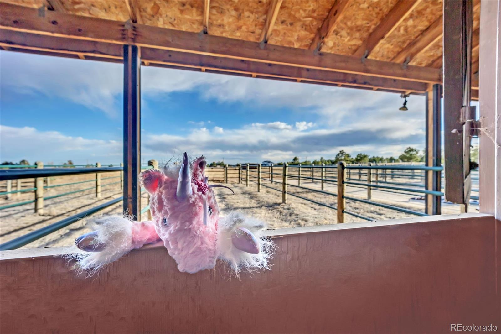 MLS Image #30 for 14650  eastonville road,elbert, Colorado