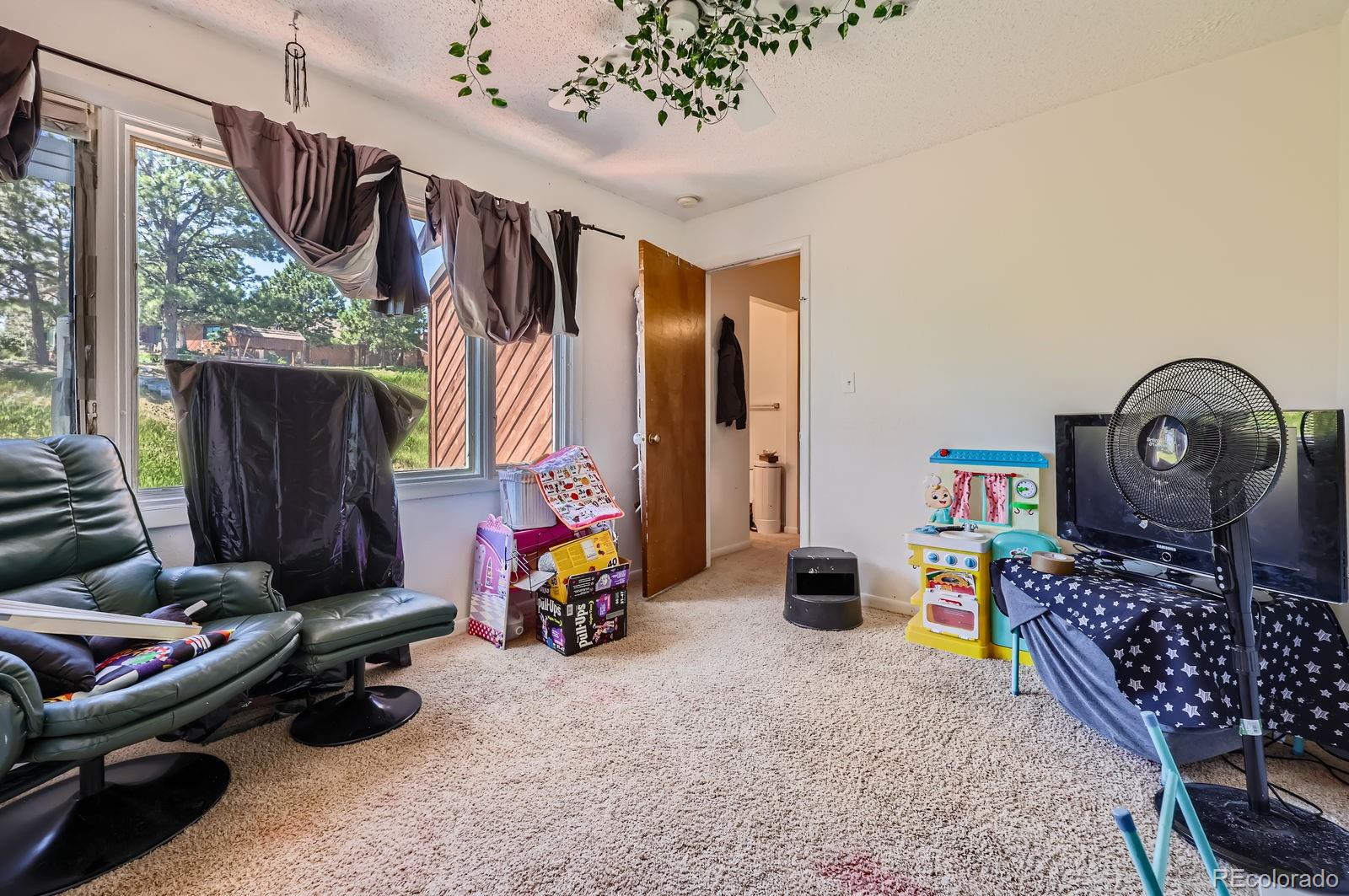 MLS Image #20 for 4484  juniper court,larkspur, Colorado