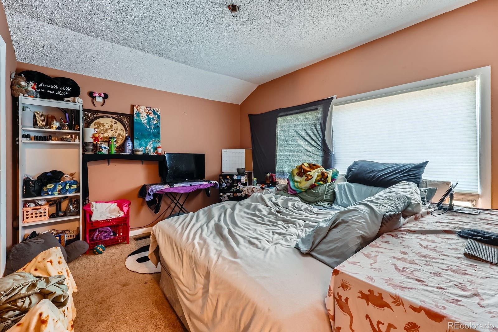 MLS Image #22 for 4484  juniper court,larkspur, Colorado