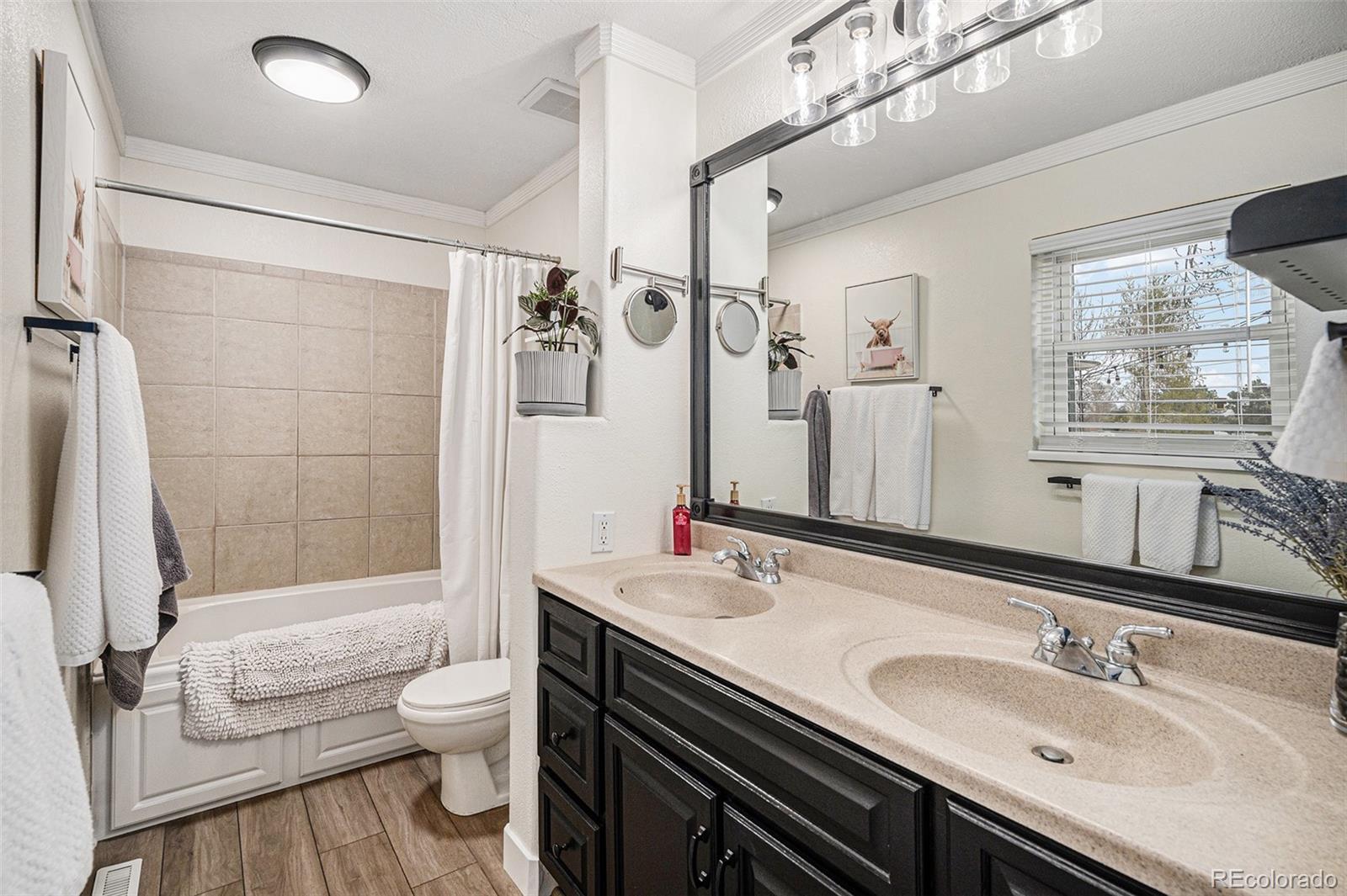 MLS Image #17 for 8691  bluebunch court,parker, Colorado