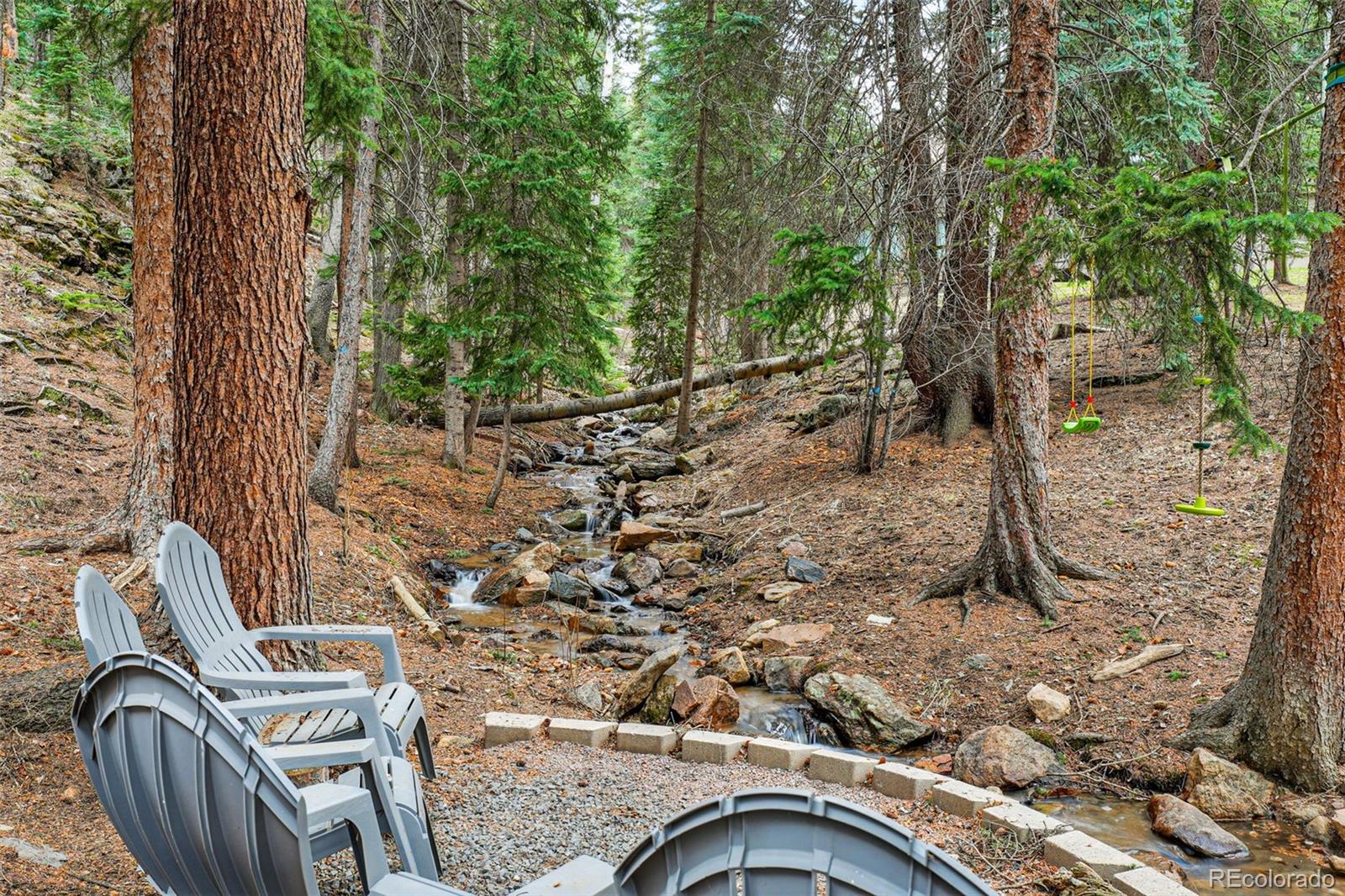 MLS Image #2 for 34788  forest estates road,evergreen, Colorado