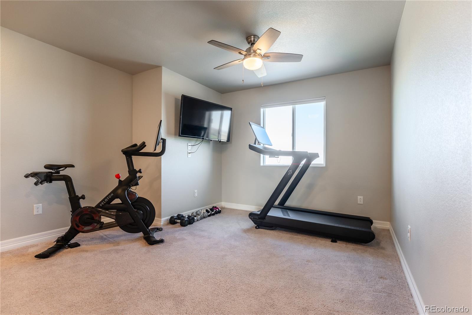 MLS Image #23 for 2355  saddle back court,fort lupton, Colorado