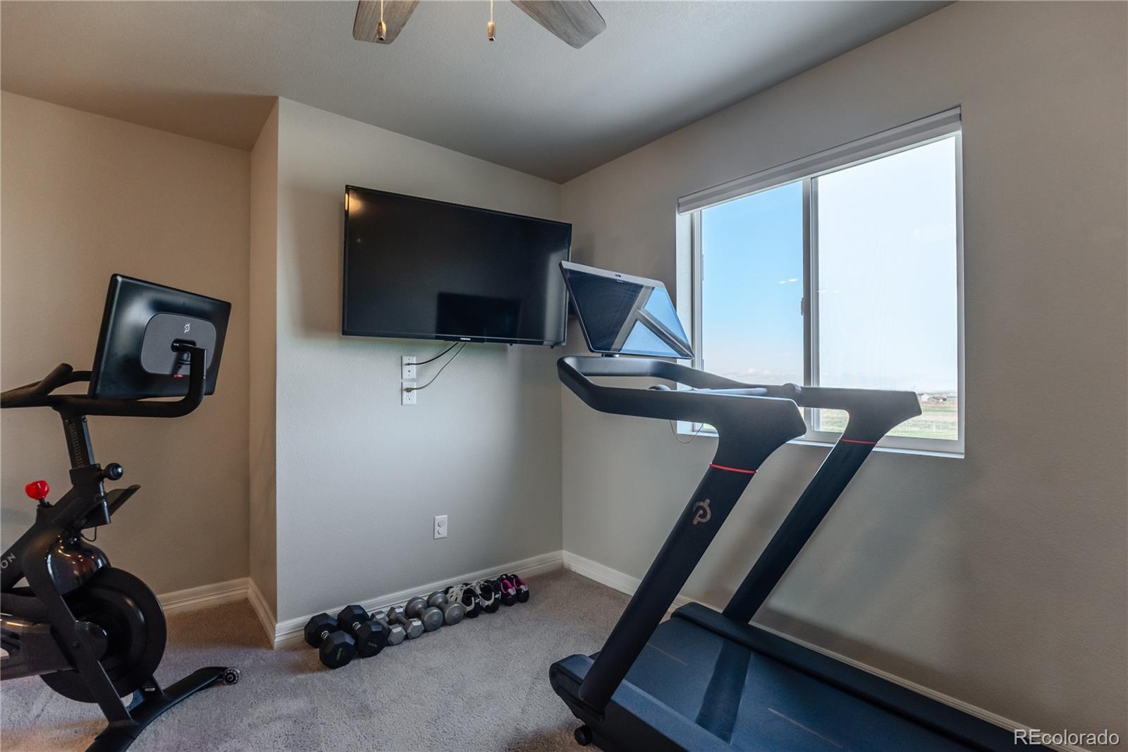 MLS Image #24 for 2355  saddle back court,fort lupton, Colorado