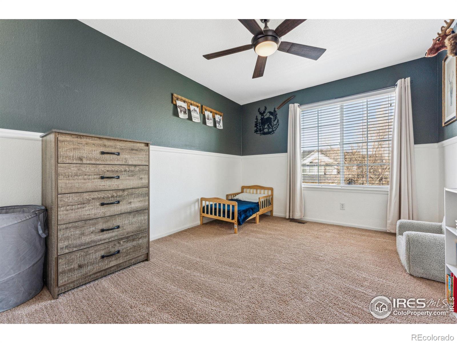 MLS Image #13 for 4774  coker avenue,castle rock, Colorado