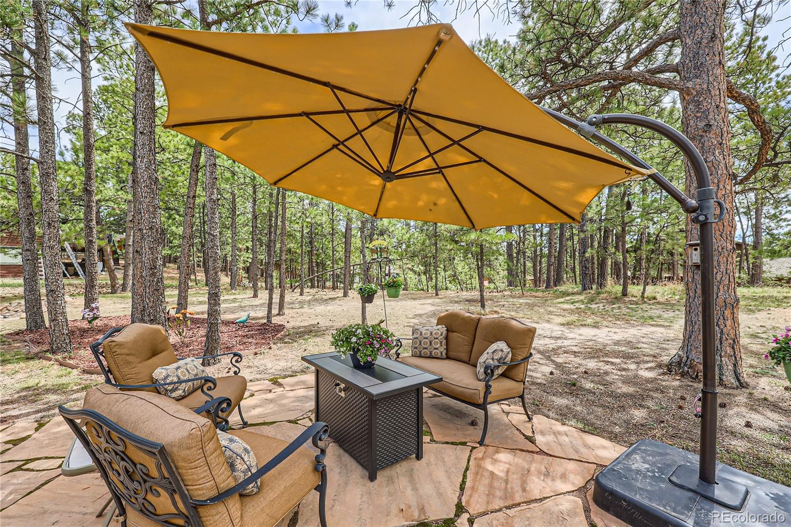 MLS Image #20 for 19475  stag lane,monument, Colorado