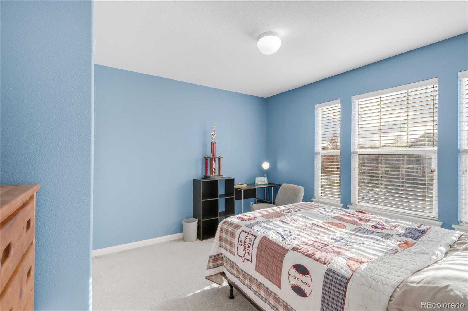 MLS Image #18 for 13664  cherry street,thornton, Colorado