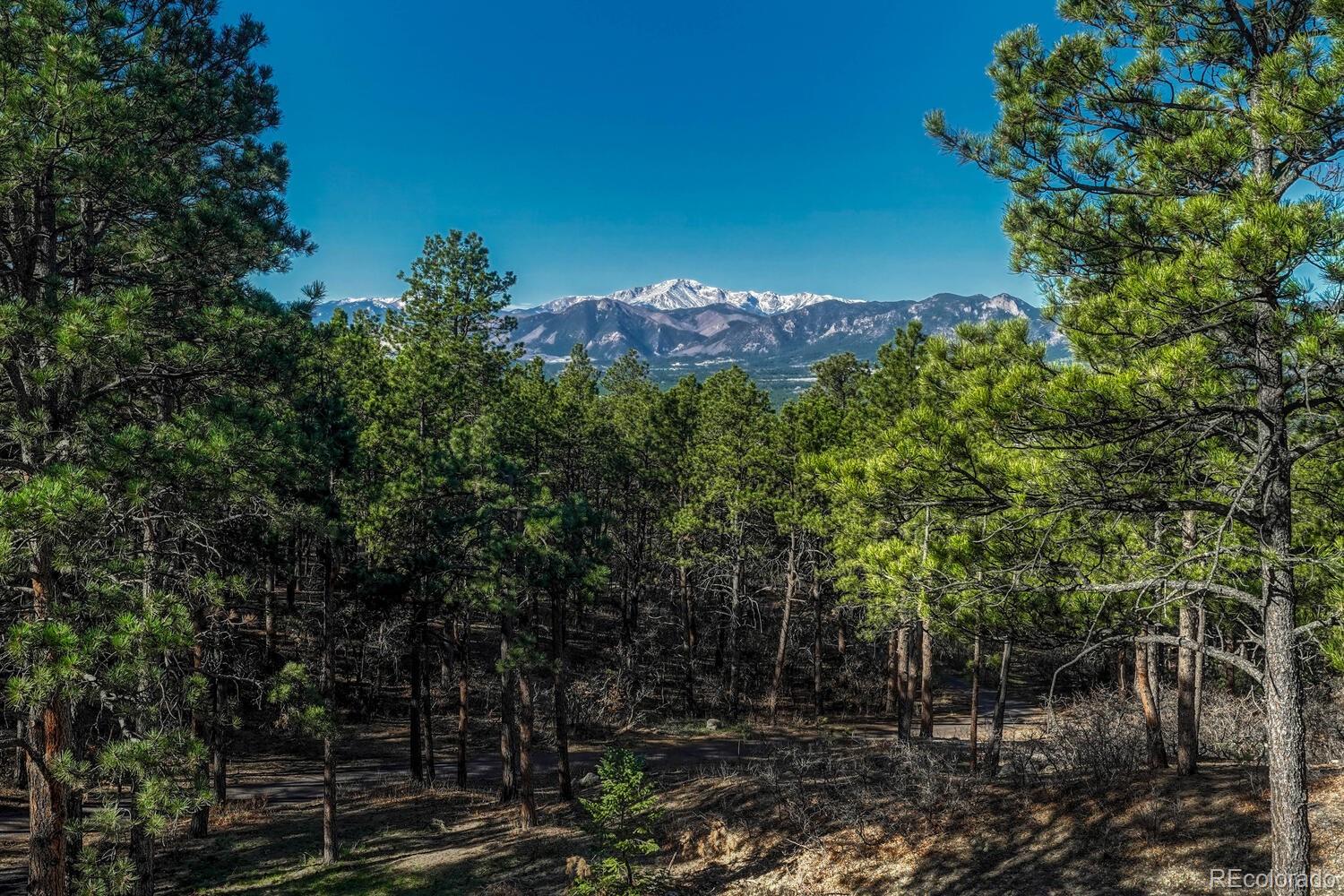 MLS Image #48 for 670 e baptist road,colorado springs, Colorado