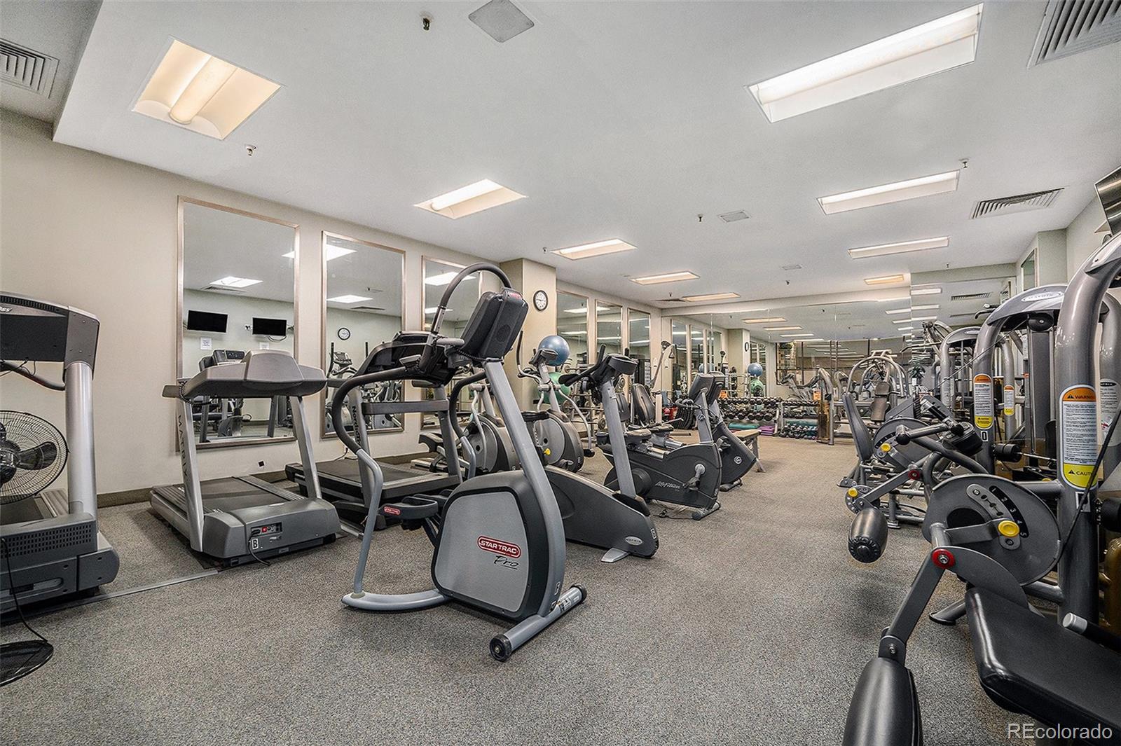 MLS Image #28 for 1551  larimer street,denver, Colorado