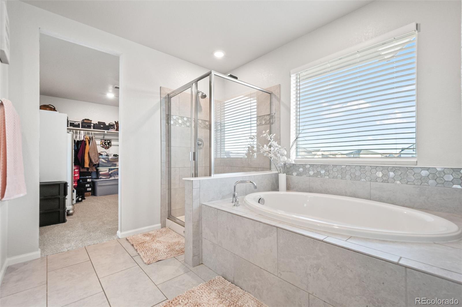 MLS Image #26 for 3074  kestrel street,brighton, Colorado