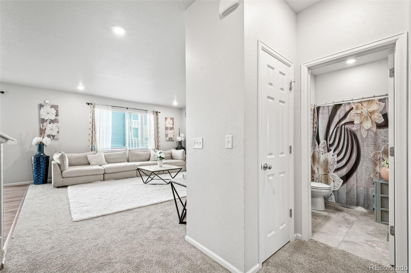 MLS Image #5 for 3074  kestrel street,brighton, Colorado