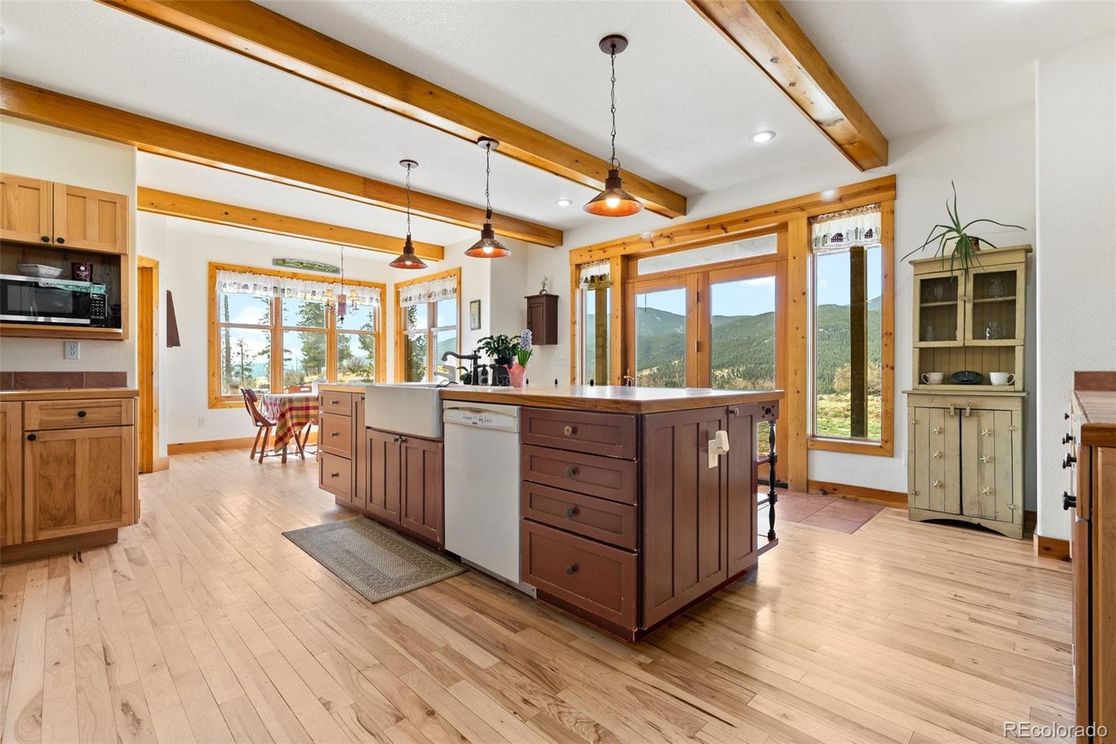 MLS Image #12 for 582  buddy road,bailey, Colorado