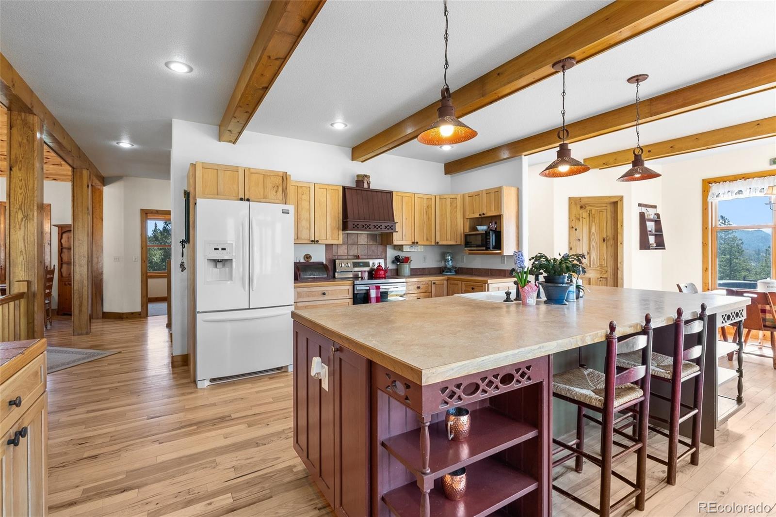 MLS Image #13 for 582  buddy road,bailey, Colorado