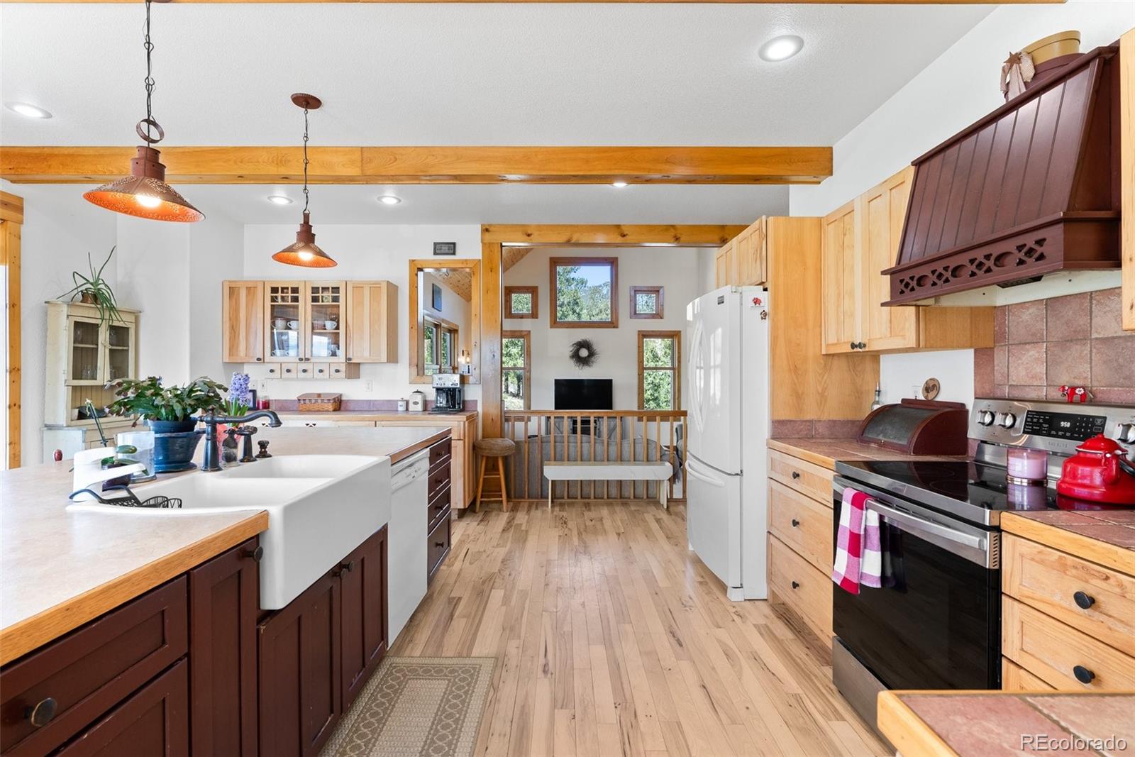 MLS Image #15 for 582  buddy road,bailey, Colorado