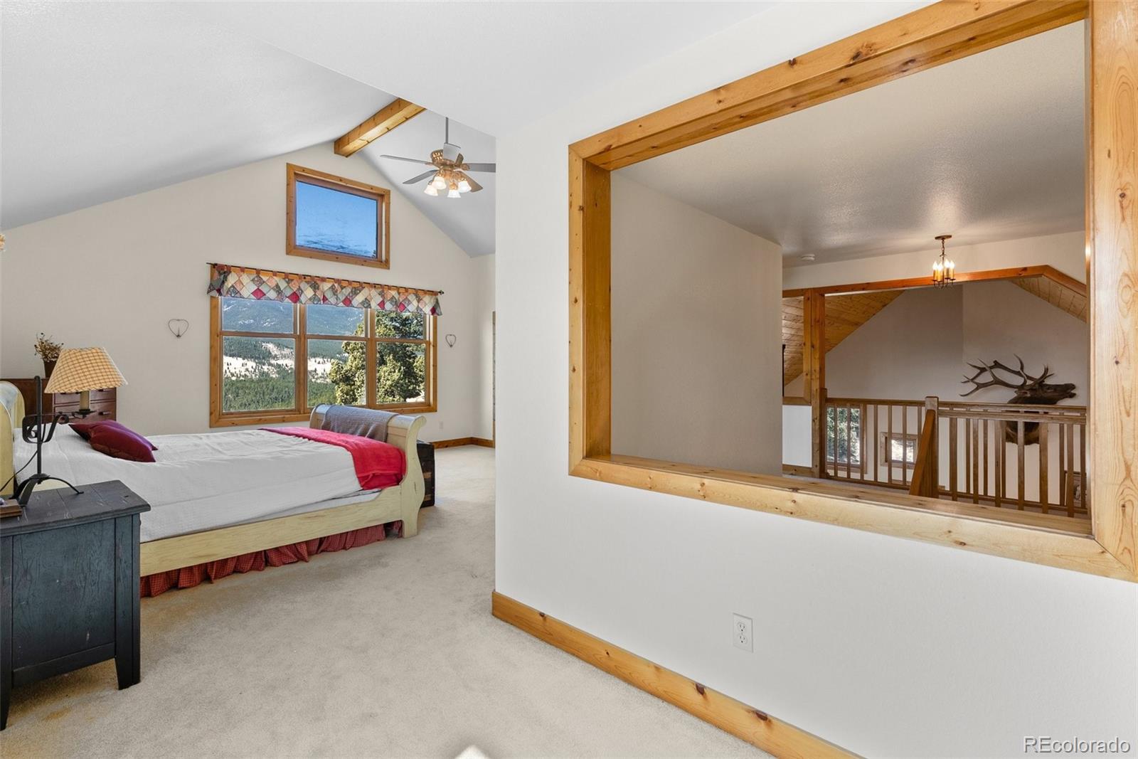 MLS Image #24 for 582  buddy road,bailey, Colorado