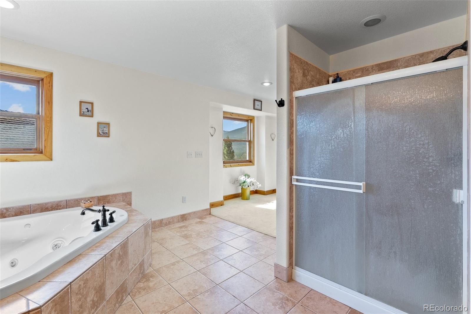 MLS Image #26 for 582  buddy road,bailey, Colorado