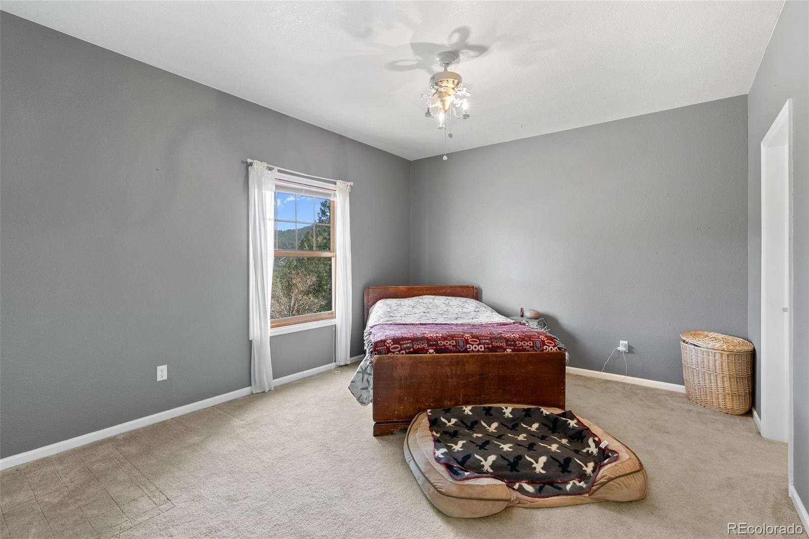 MLS Image #29 for 582  buddy road,bailey, Colorado