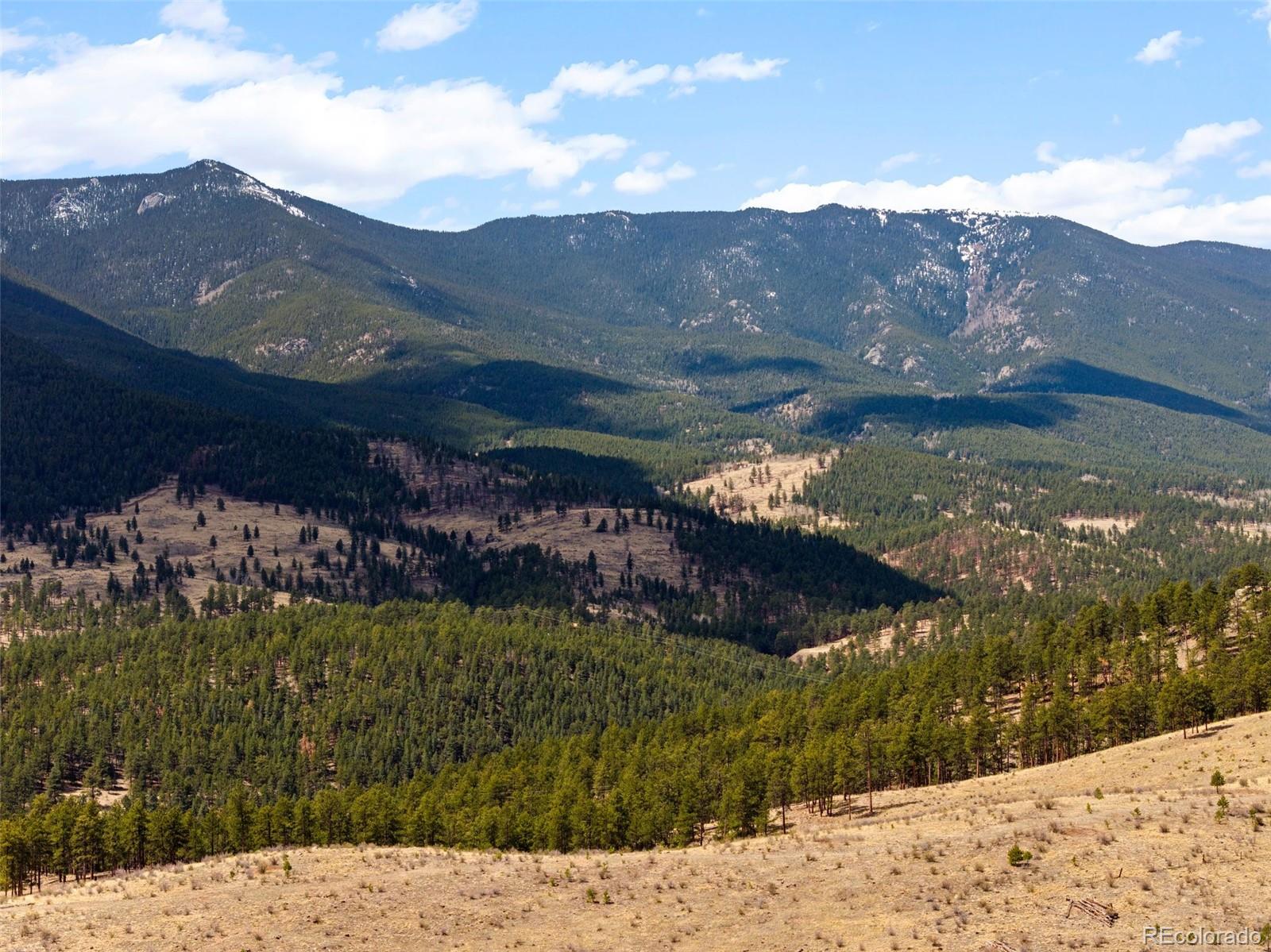 MLS Image #44 for 582  buddy road,bailey, Colorado
