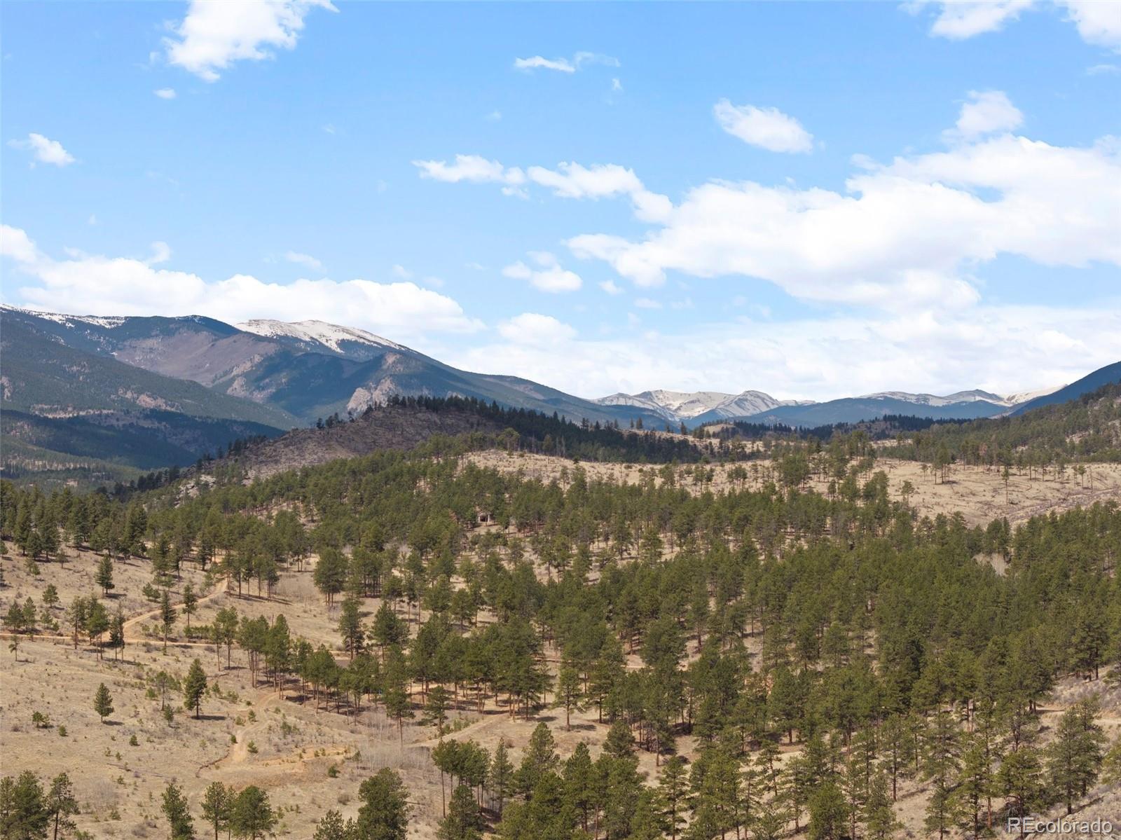 MLS Image #46 for 582  buddy road,bailey, Colorado