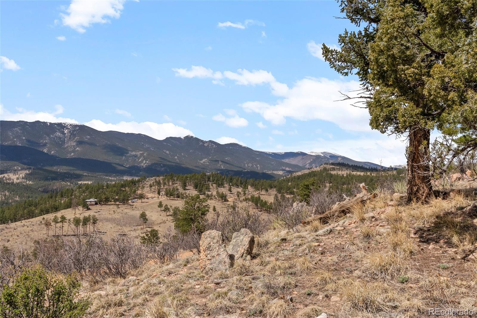 MLS Image #47 for 582  buddy road,bailey, Colorado