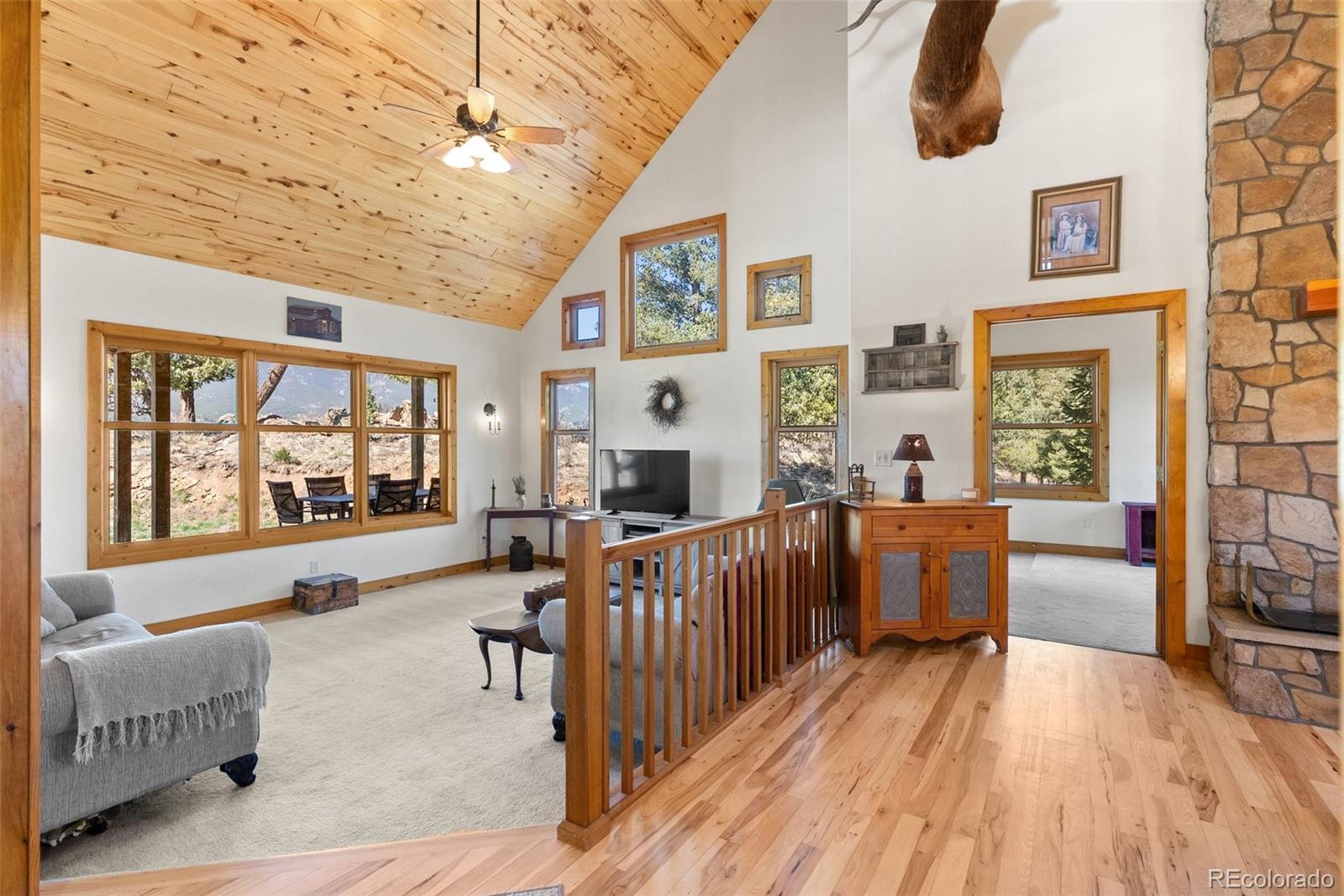MLS Image #8 for 582  buddy road,bailey, Colorado