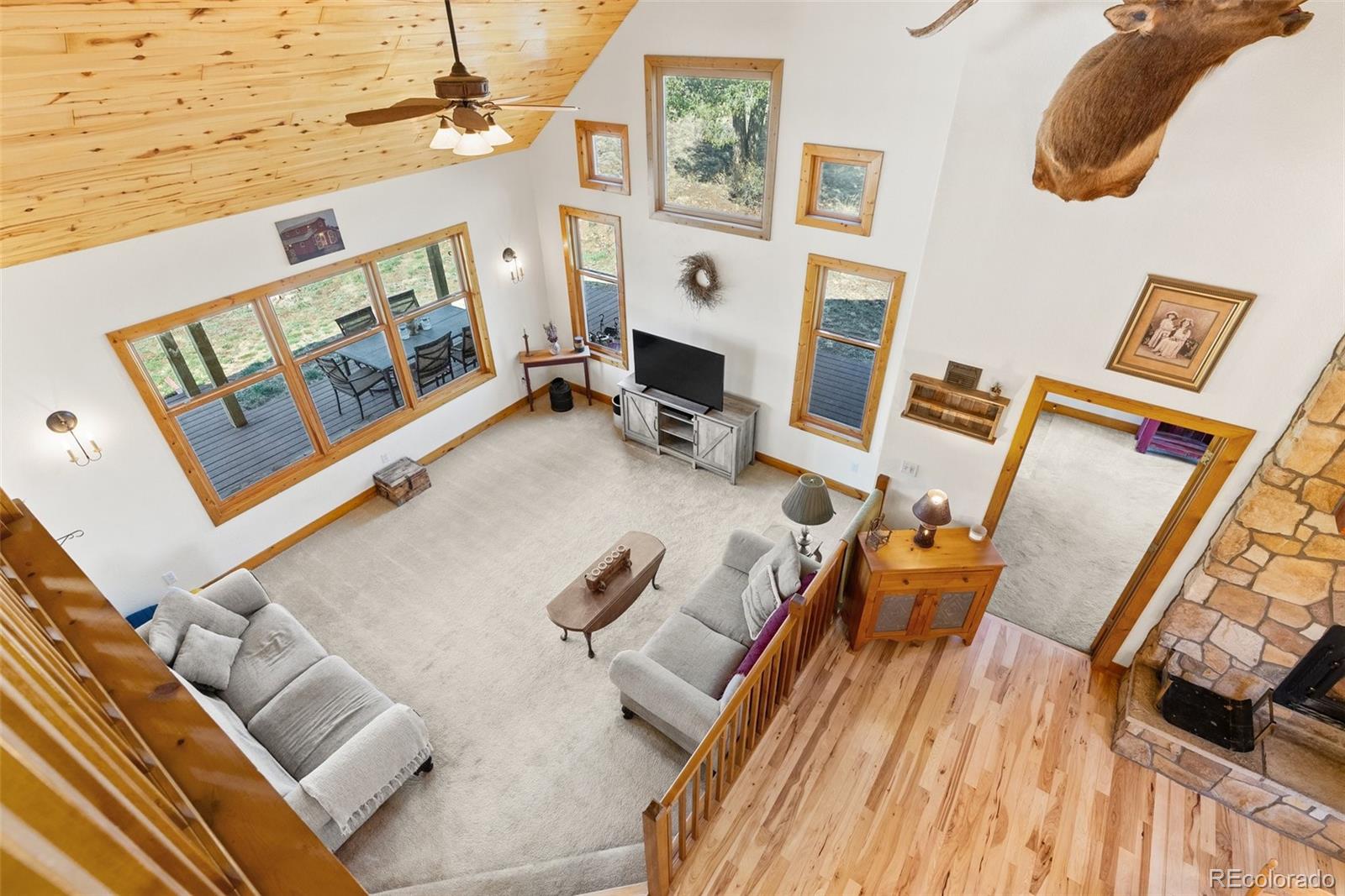 MLS Image #9 for 582  buddy road,bailey, Colorado