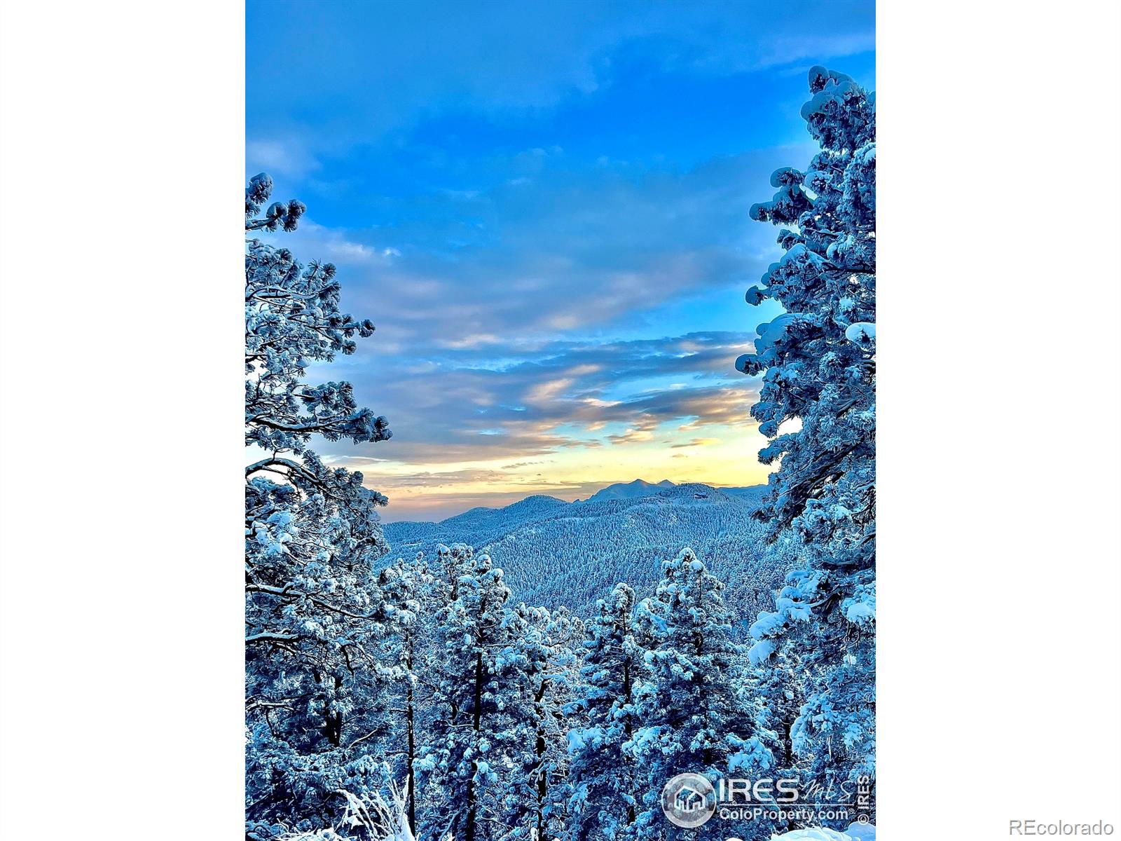 MLS Image #34 for 524  cutter lane,boulder, Colorado