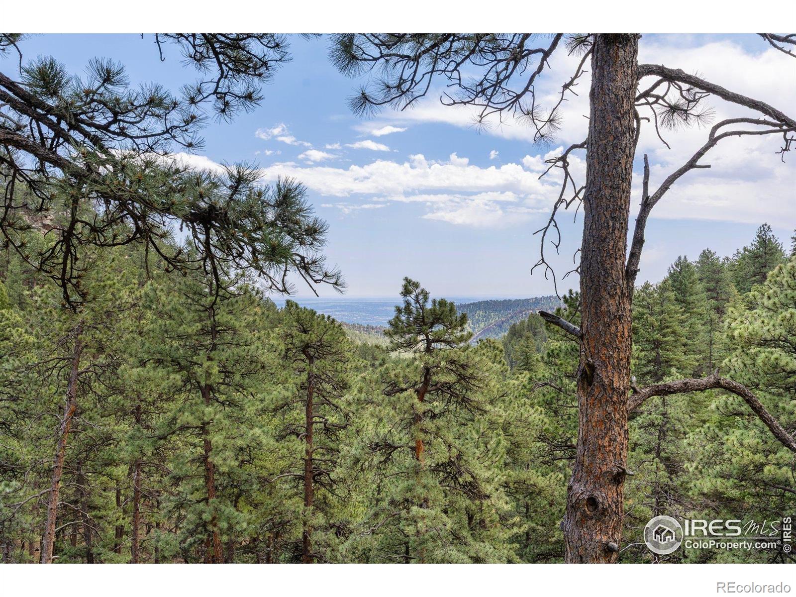 MLS Image #37 for 524  cutter lane,boulder, Colorado