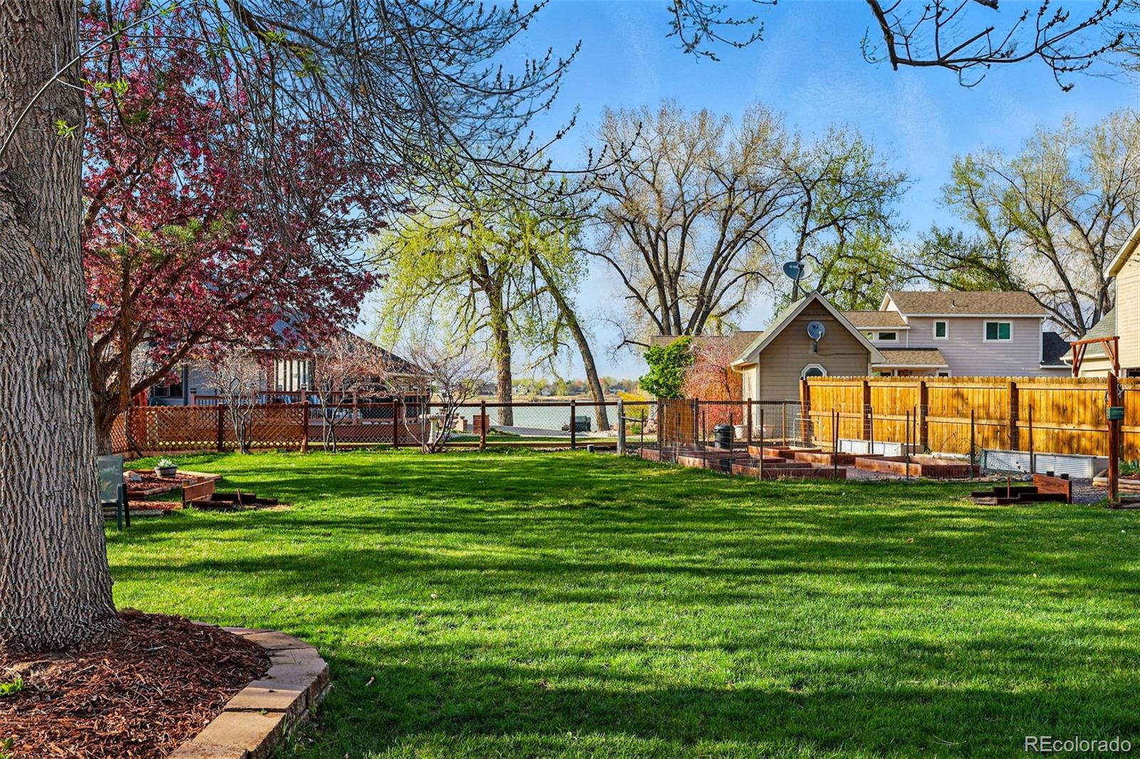 MLS Image #41 for 1465  arikaree drive,loveland, Colorado