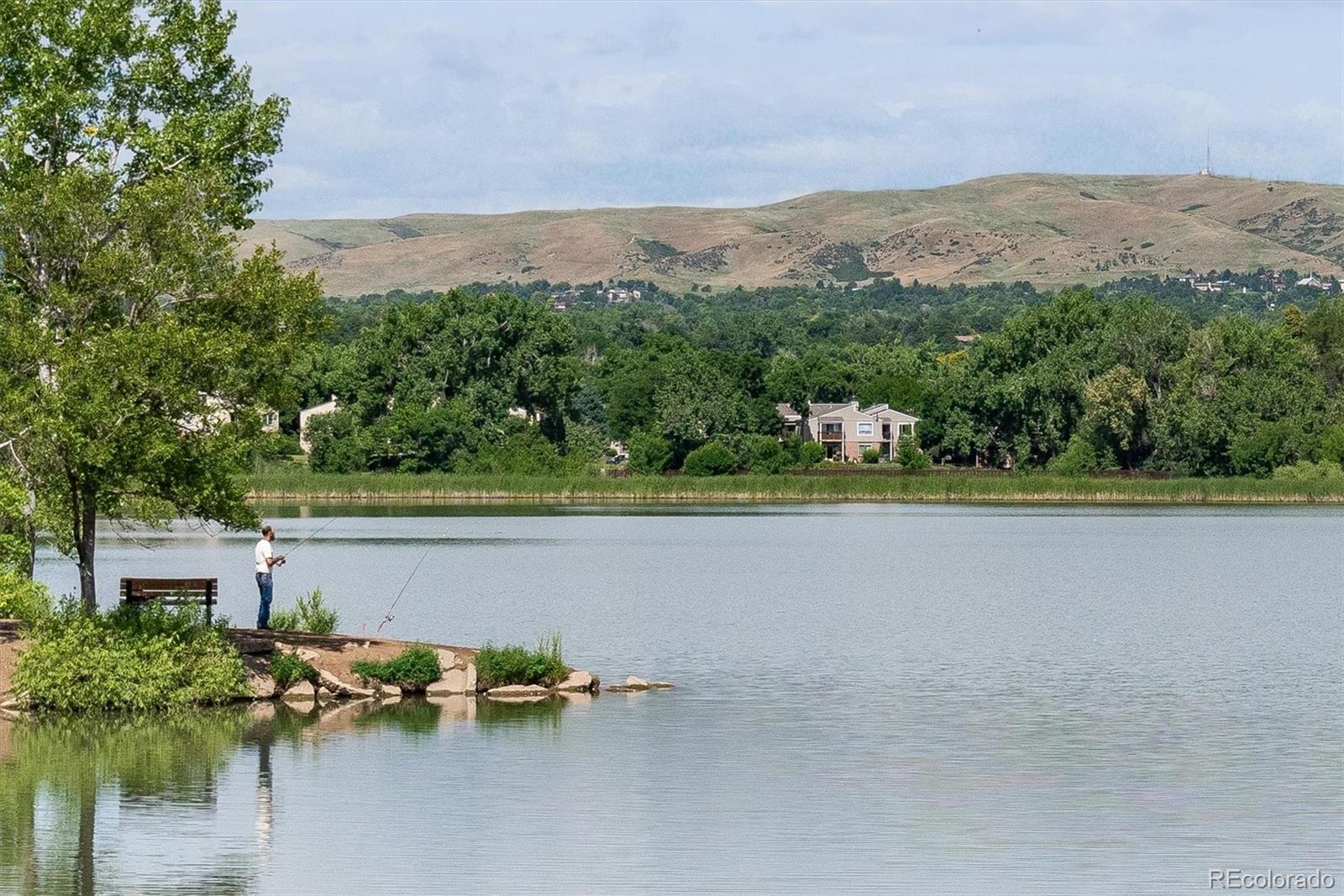 MLS Image #17 for 1536 s field court,lakewood, Colorado