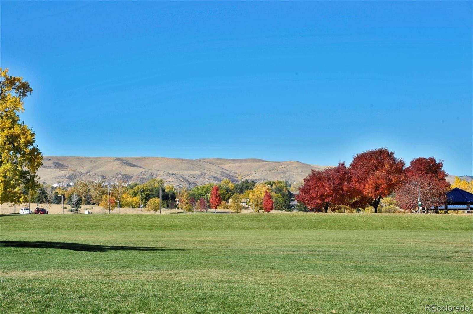 MLS Image #18 for 1536 s field court,lakewood, Colorado