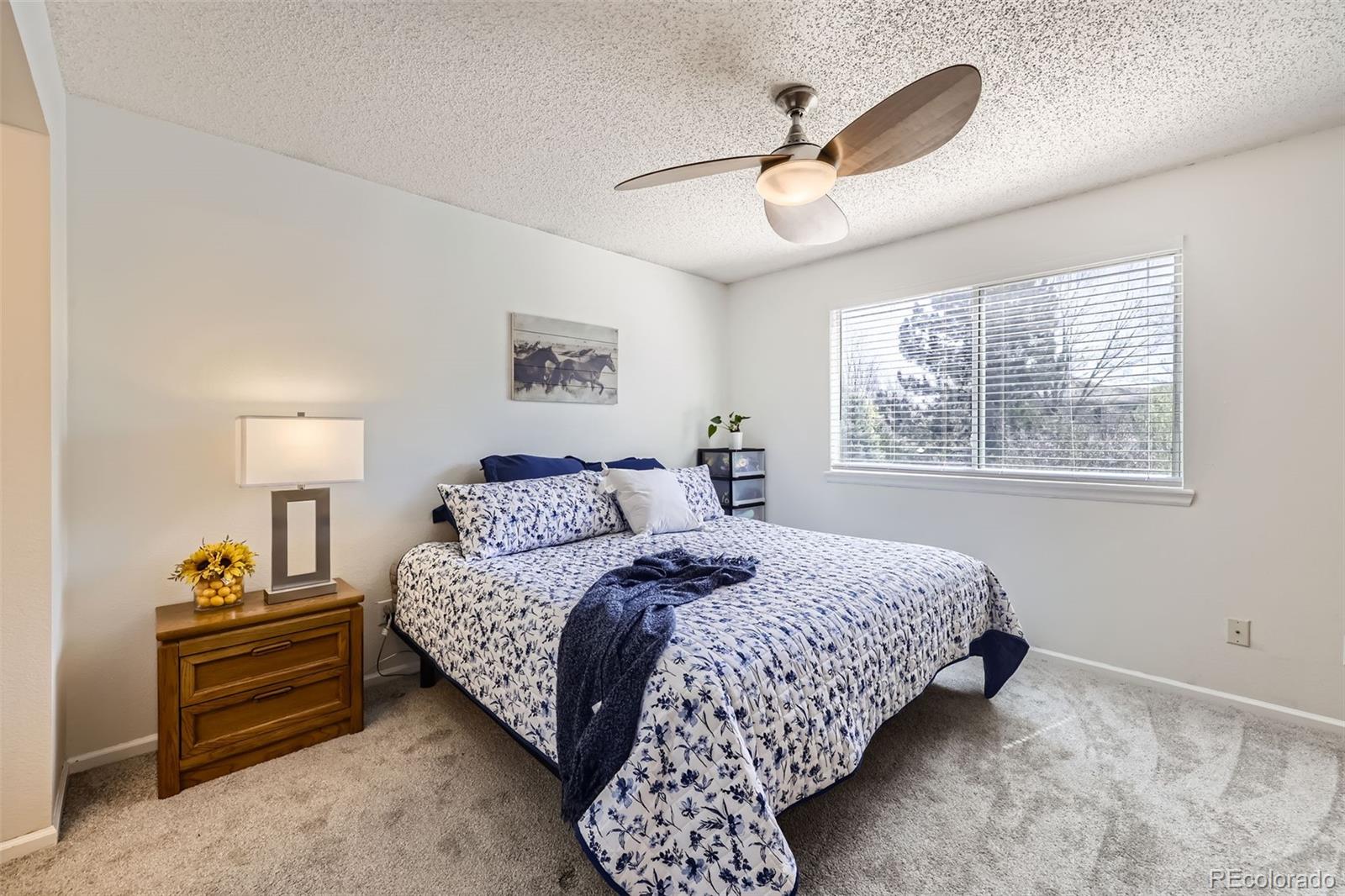 MLS Image #12 for 3734  licorice trail,castle rock, Colorado
