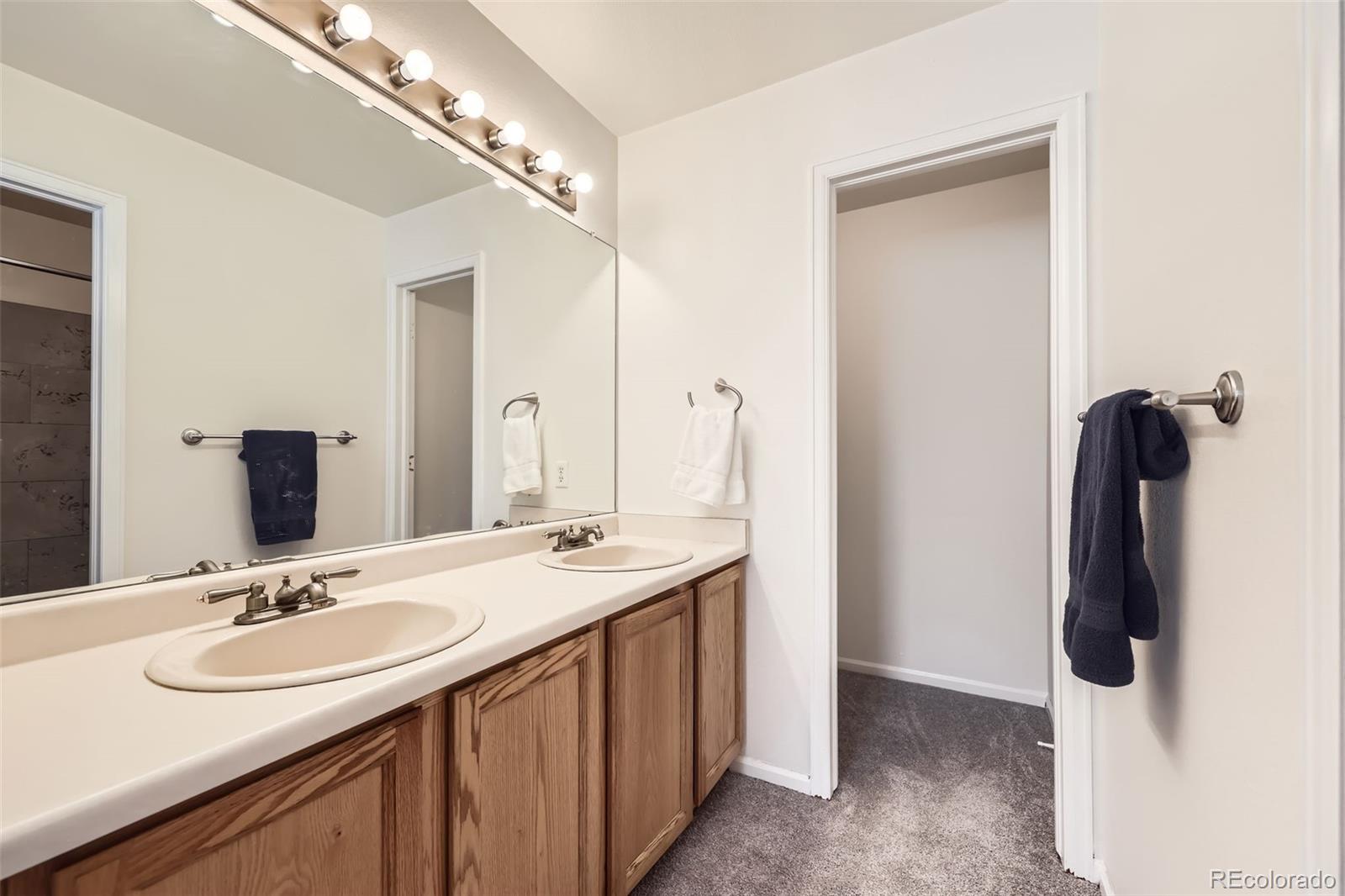 MLS Image #14 for 3734  licorice trail,castle rock, Colorado