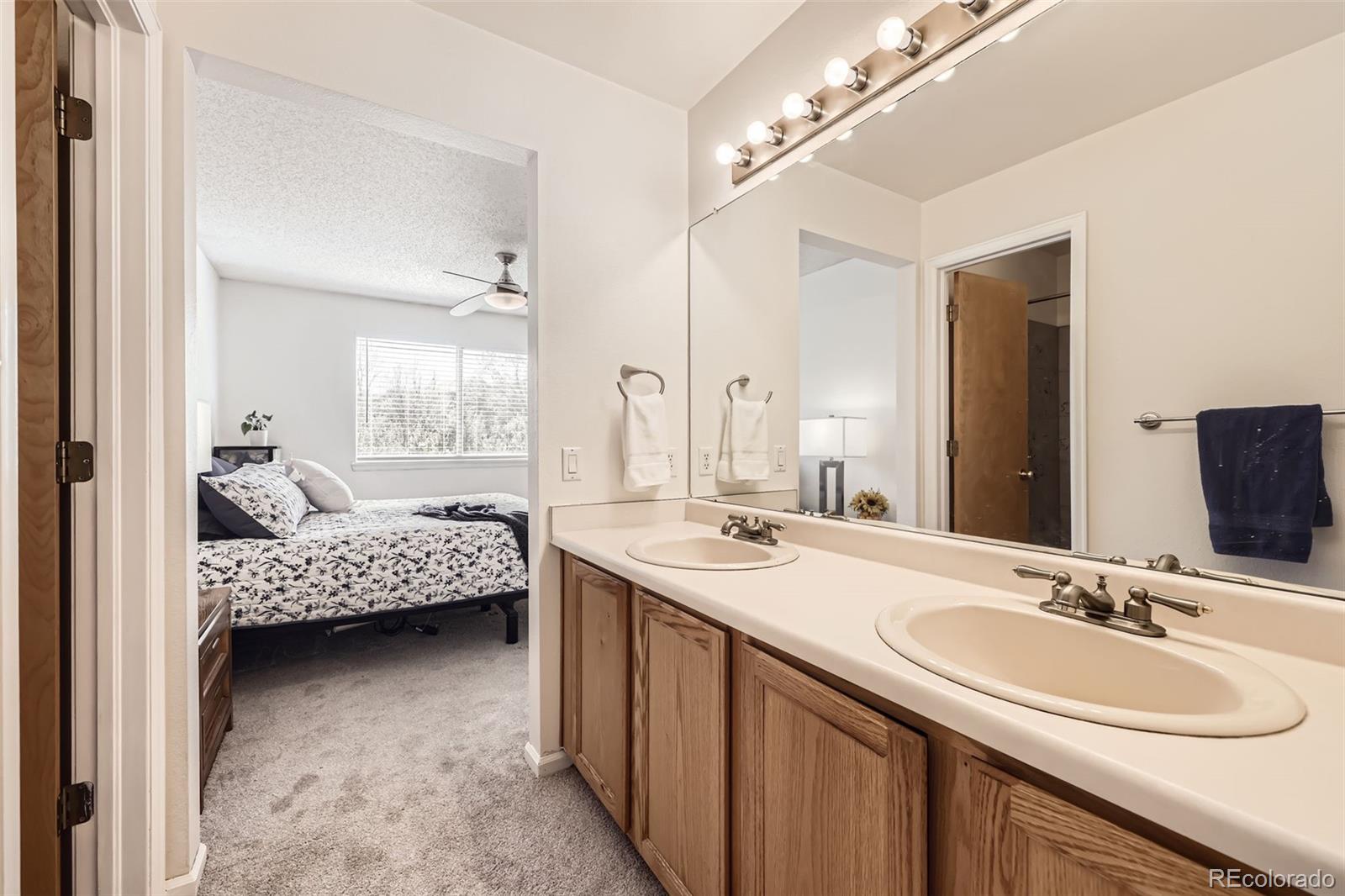 MLS Image #15 for 3734  licorice trail,castle rock, Colorado