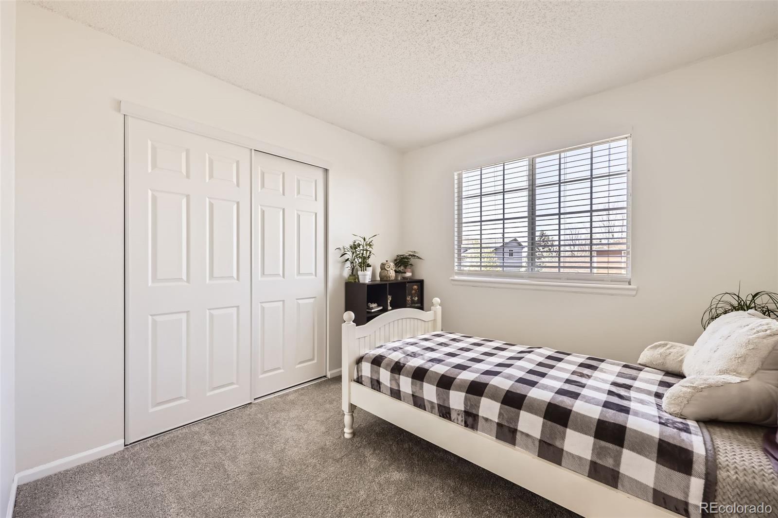 MLS Image #17 for 3734  licorice trail,castle rock, Colorado