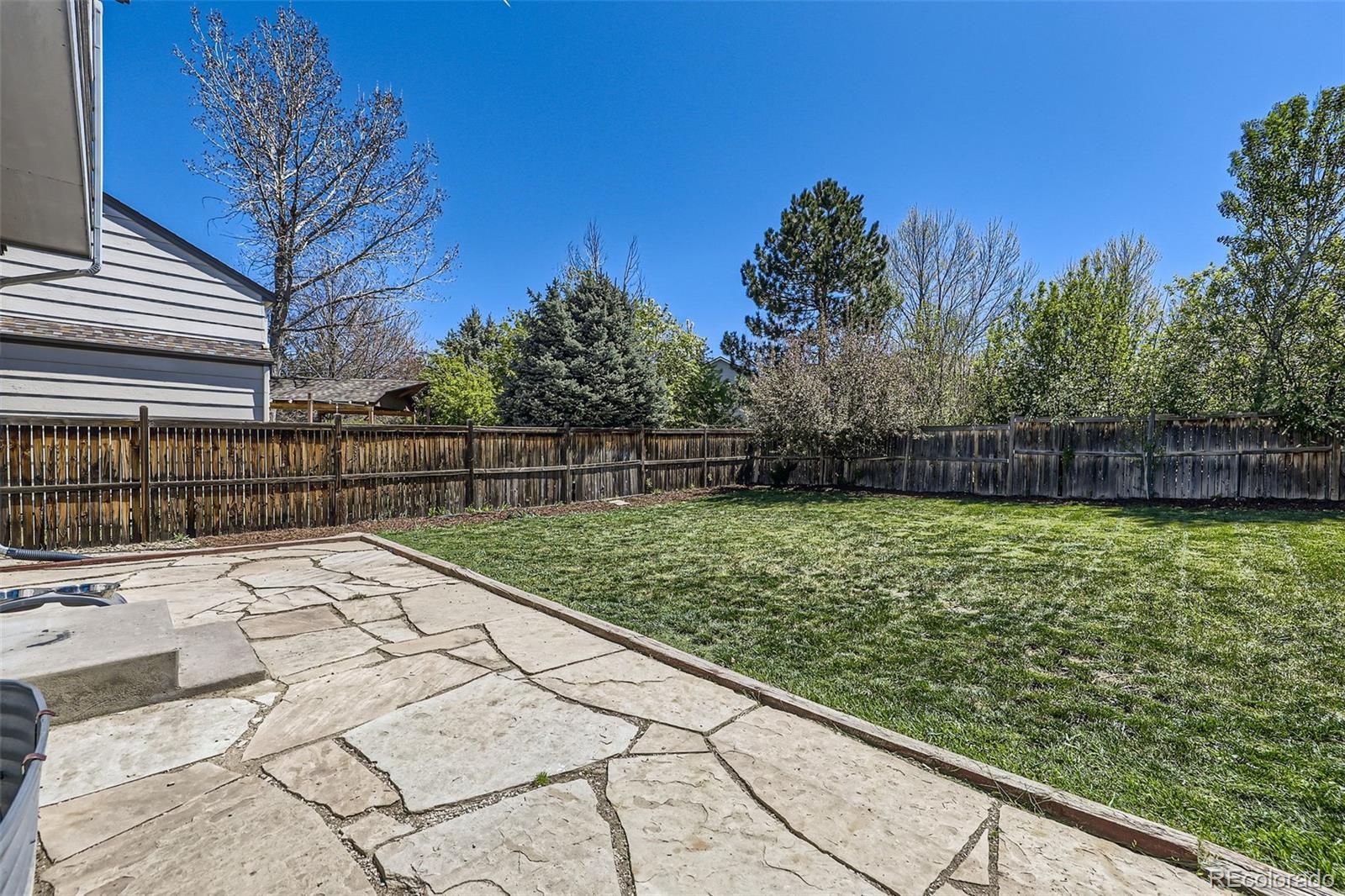 MLS Image #25 for 3734  licorice trail,castle rock, Colorado