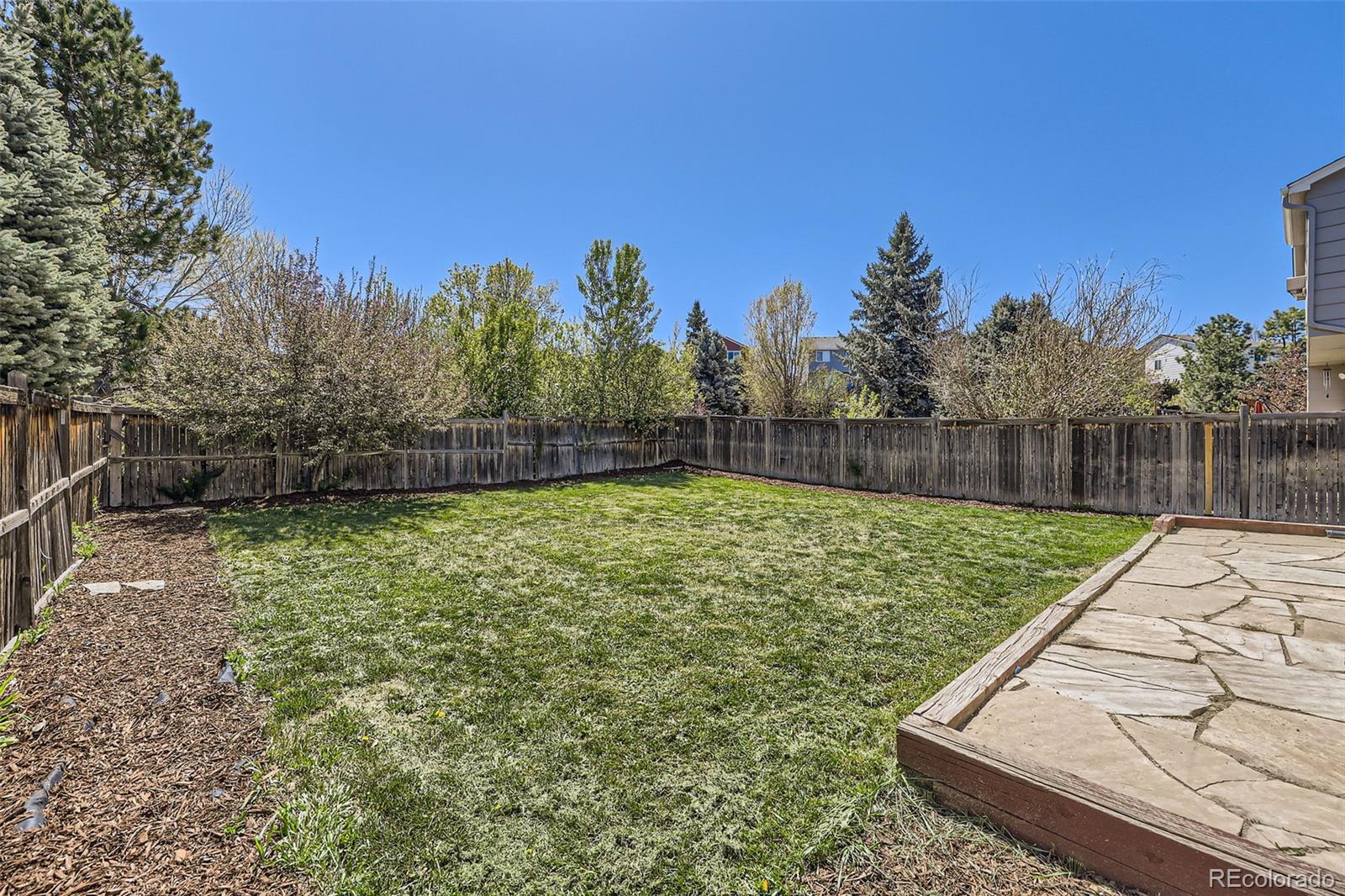 MLS Image #27 for 3734  licorice trail,castle rock, Colorado