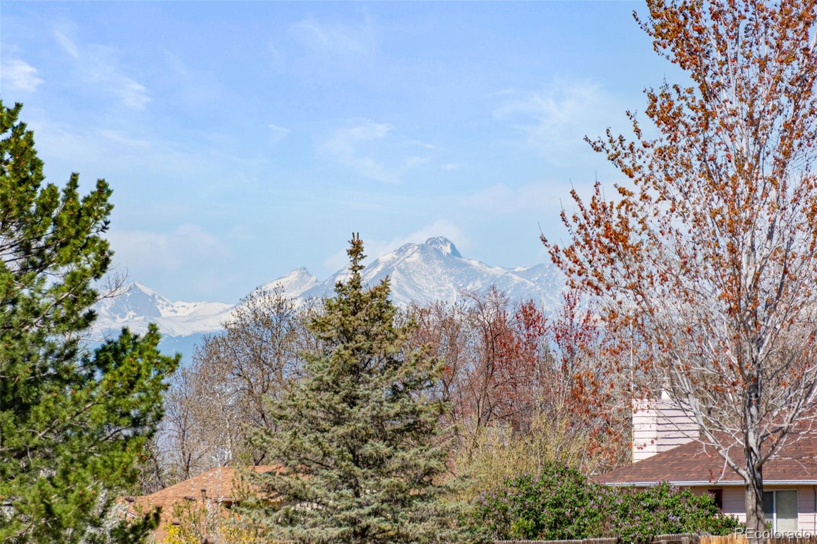 MLS Image #44 for 3449  grove street,brighton, Colorado