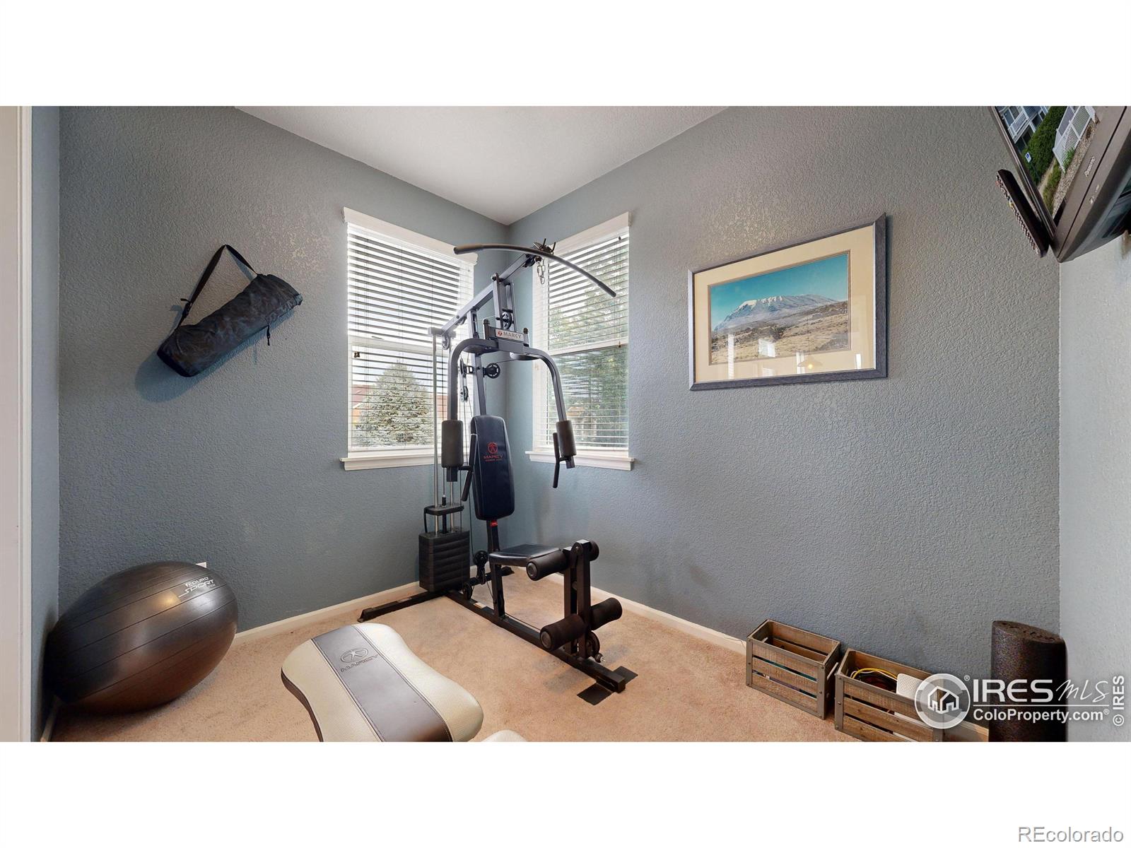 MLS Image #13 for 2067  grays peak drive,loveland, Colorado