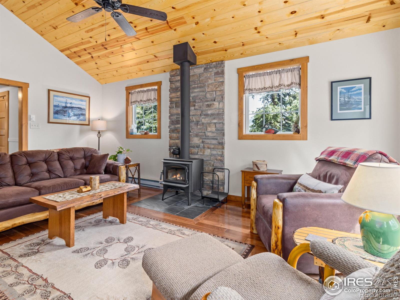 MLS Image #12 for 555  ouray drive,estes park, Colorado