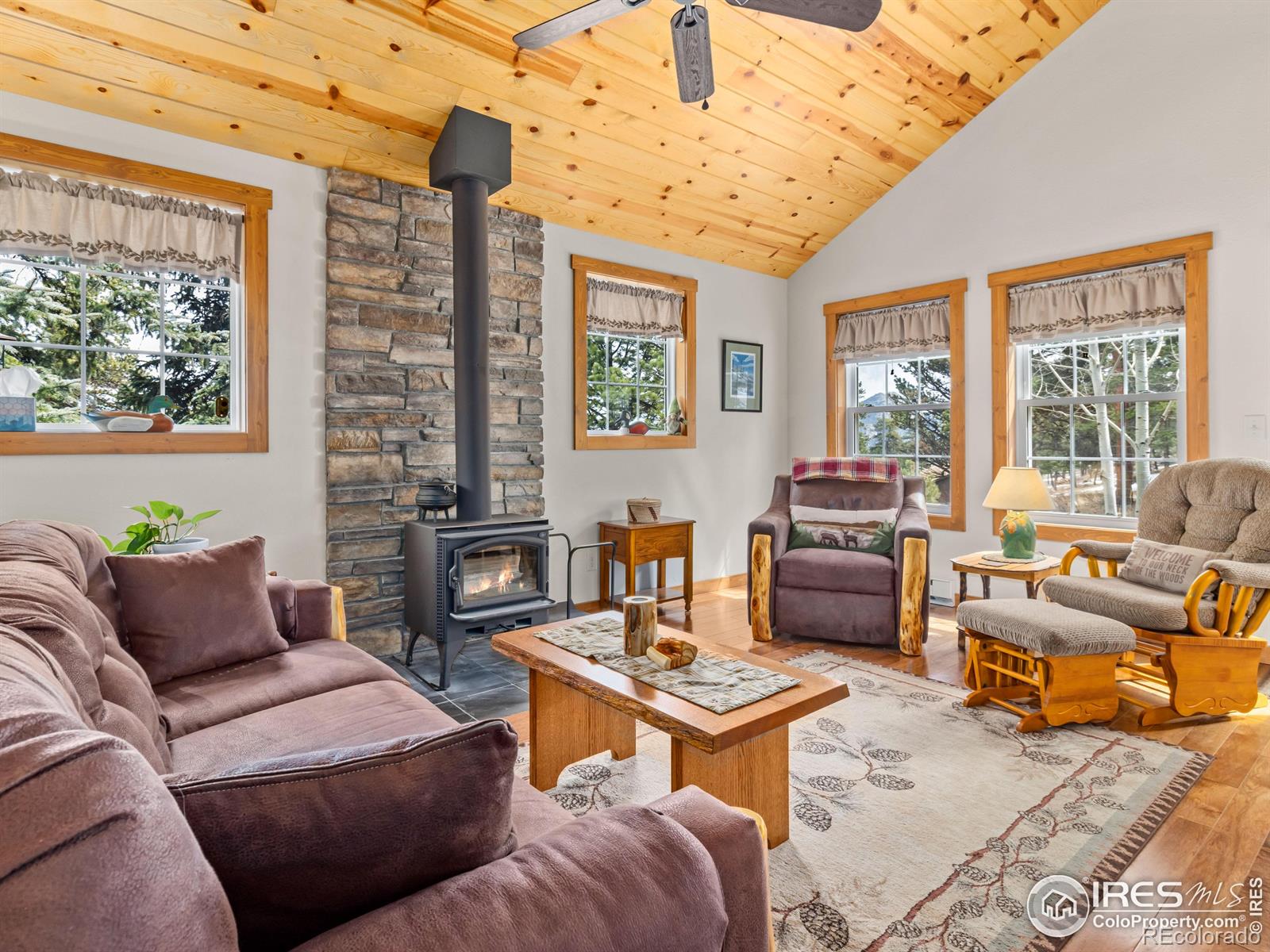 MLS Image #2 for 555  ouray drive,estes park, Colorado
