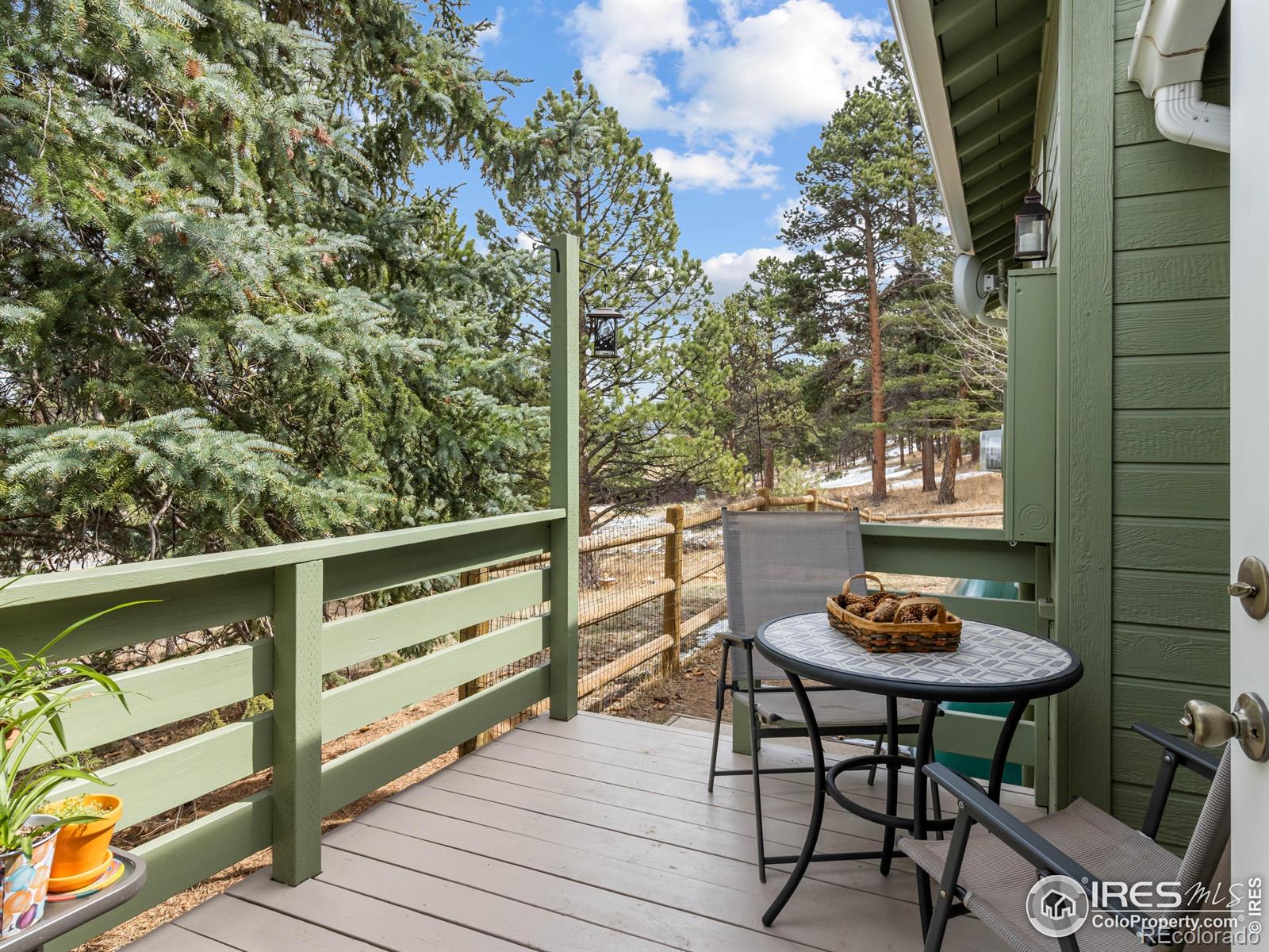 MLS Image #26 for 555  ouray drive,estes park, Colorado