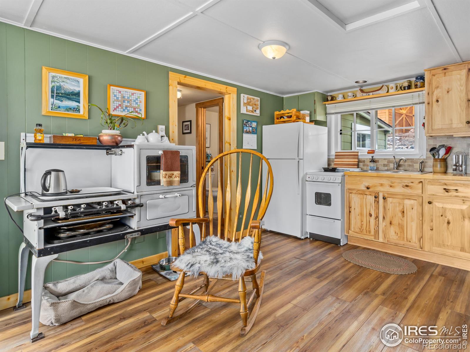 MLS Image #5 for 555  ouray drive,estes park, Colorado