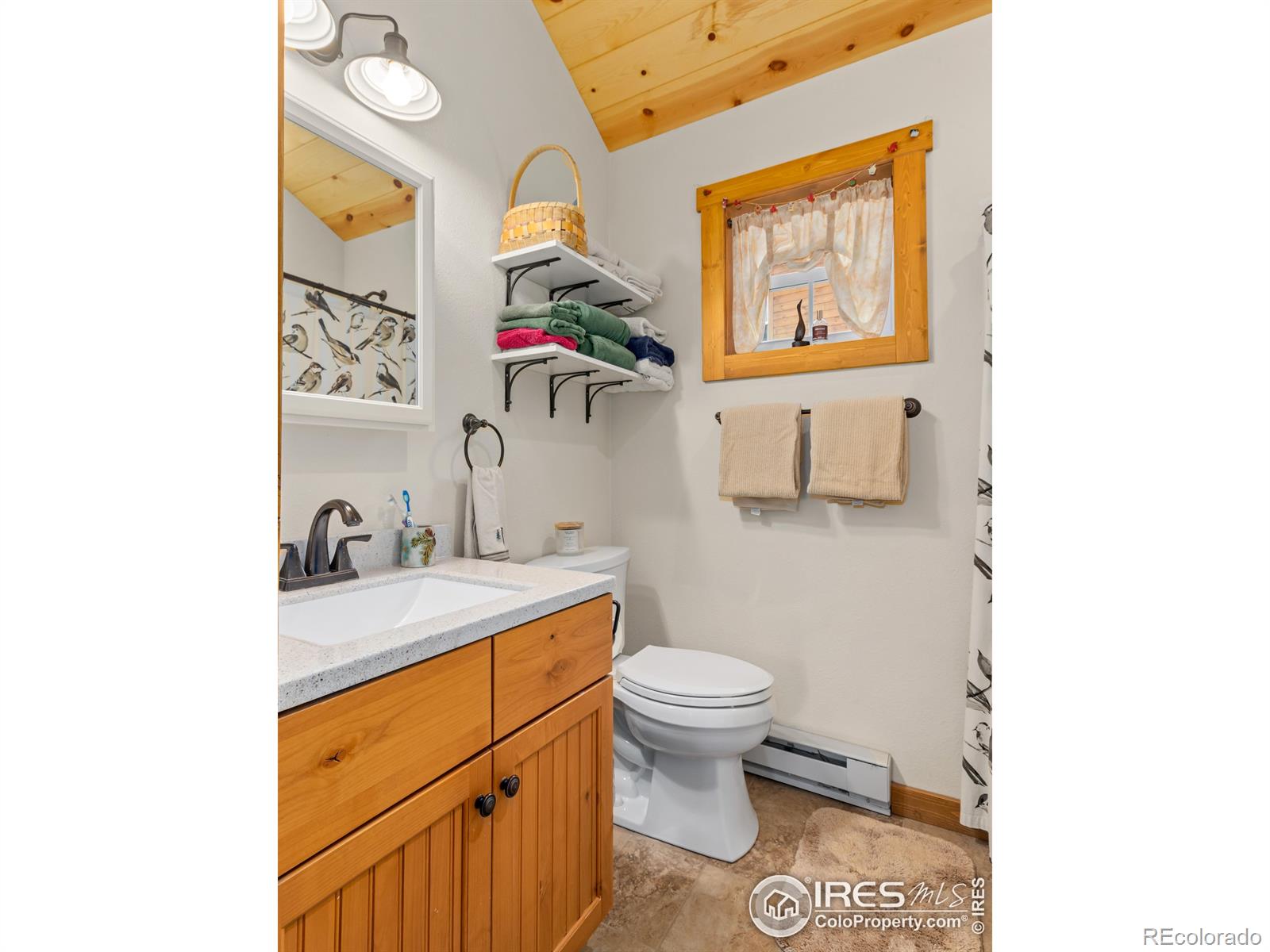 MLS Image #9 for 555  ouray drive,estes park, Colorado