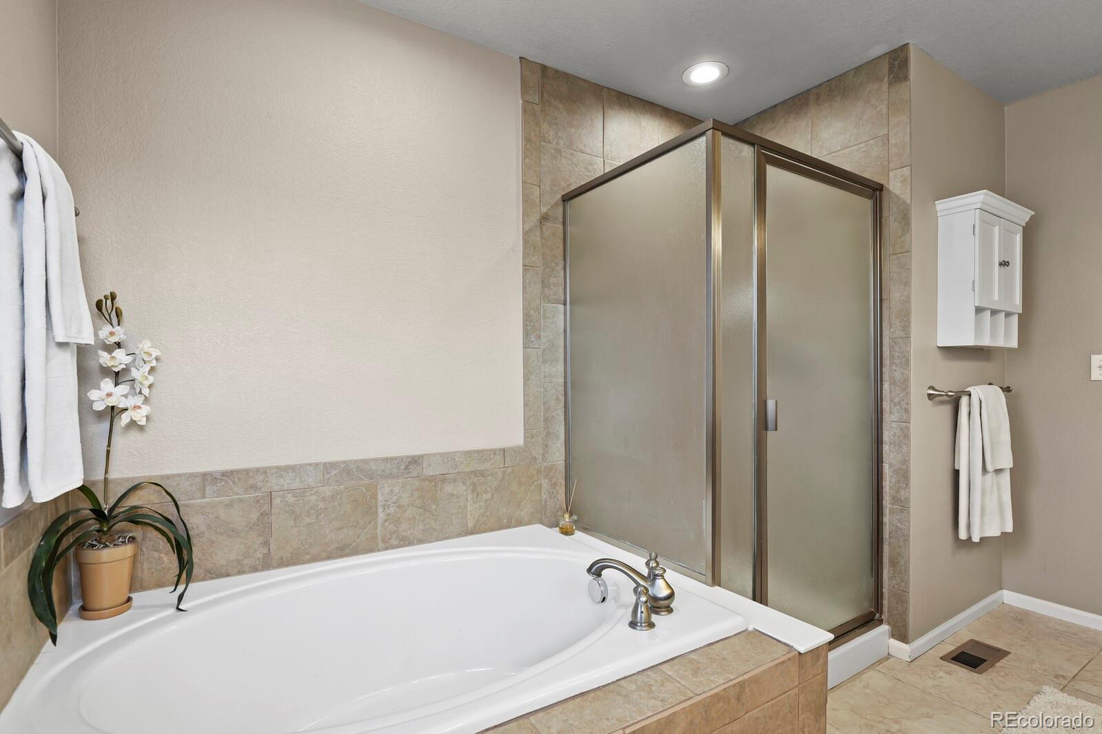 MLS Image #19 for 11007  meadowvale circle,highlands ranch, Colorado