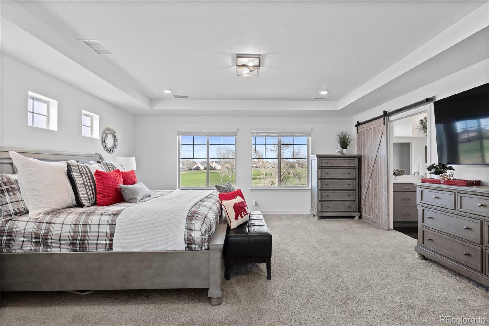 MLS Image #22 for 20603 e 50th place,denver, Colorado