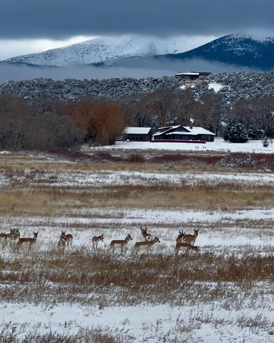 MLS Image #20 for 11530  county road 256 ,salida, Colorado