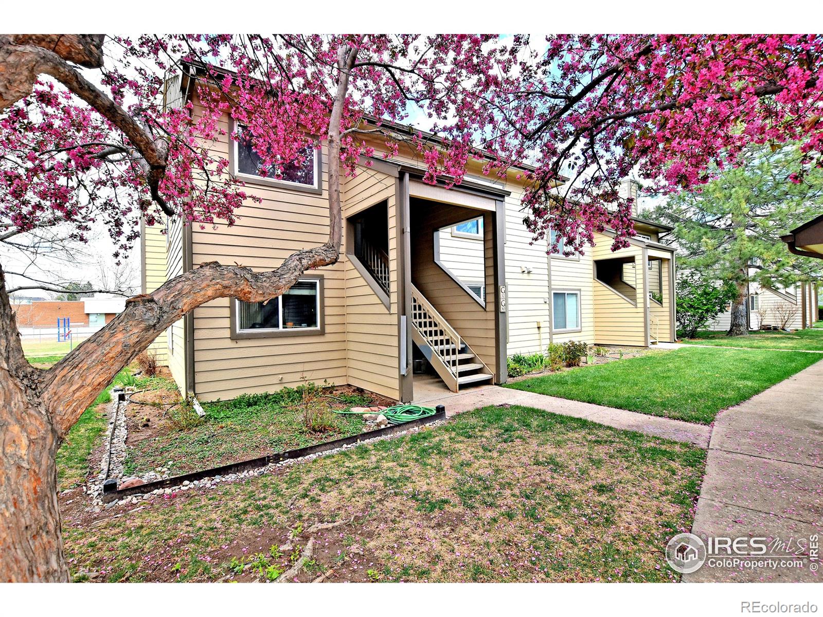 MLS Image #0 for 3465  lochwood drive,fort collins, Colorado